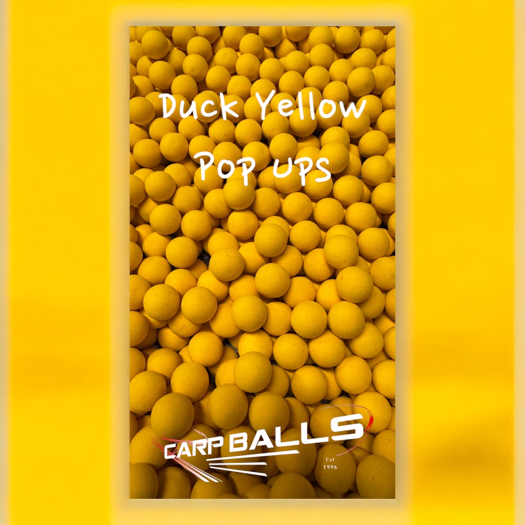 These Pop Ups are a staple in our tackle box... especially when we go out for a day session #carpballs #duckyellow #popups #hookbaits #tacklebox #carpfishing #rigs