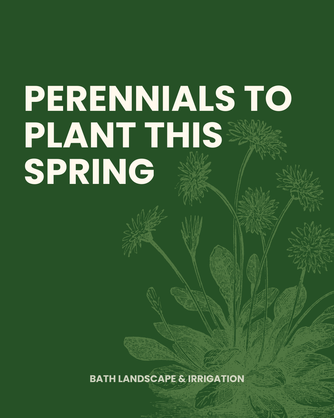 Ready to refresh your landscape this spring? 🌸 Plant these hardy, beautiful perennials for season-long color, pollinator-friendly blooms, and low-maintenance beauty!
#fortcollins #lovelandcolorado #backyardoasis #coloradobackyard #backyardinspo #outdoorkitchen #landscapedesign #backyarddesign #landscape #landscaping #landscapeservices #landscapedesigners #outdoordesign #homeinspo #landscapearchitect
#outdoorlife #landscapingcompany #curbappeal #hometips
#outdoorfurniture #gardendesign #patio #landscapearchitecture #outdoorliving #exteriordesign #coloradorealestate #frontyard #exterior #gardeninspiration #hardscapedesign