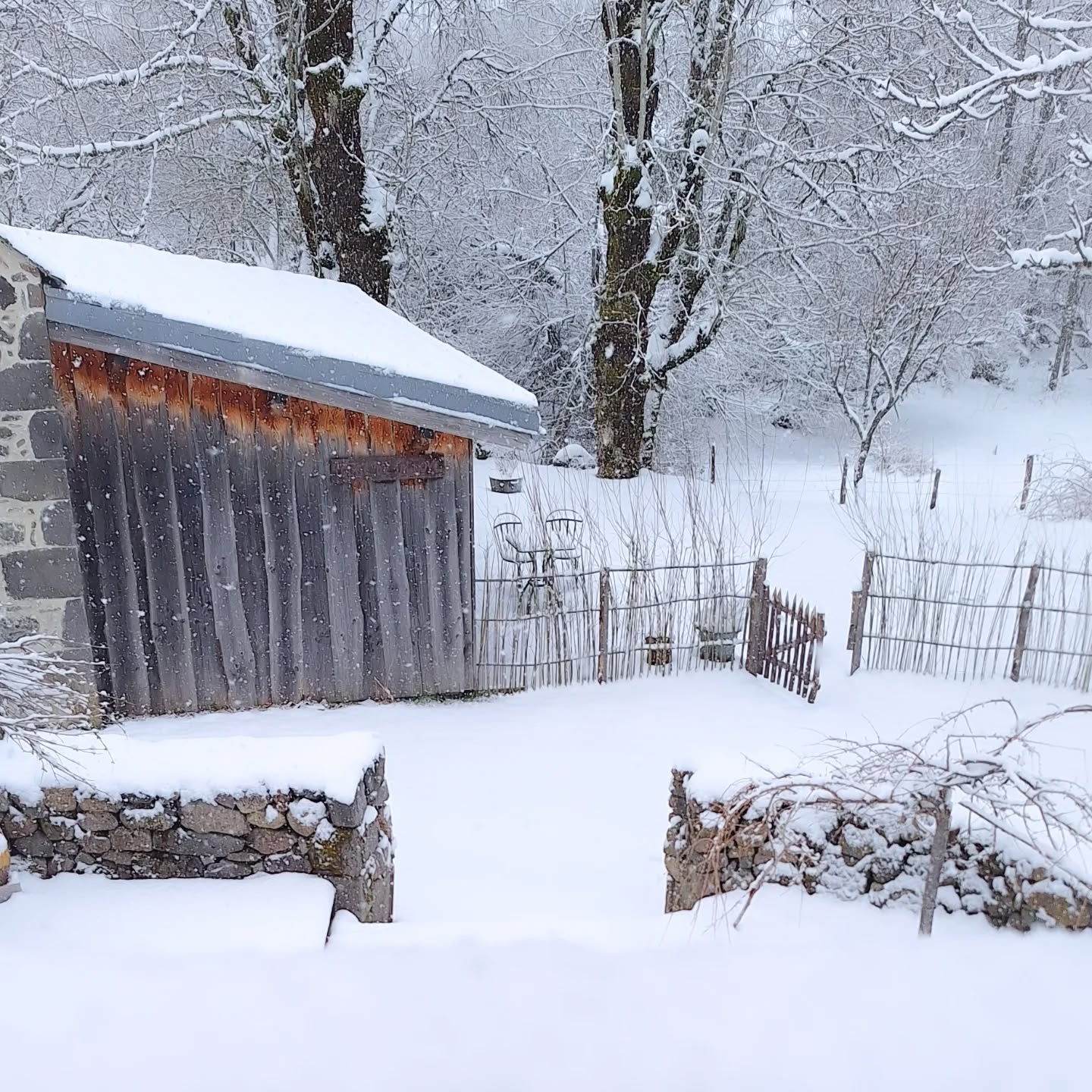 BONHEUR MATINAL
#weekendalamontagne
#neigedeprintemps #mooddujour #sancy #photooftheday #gitenature #plaisirsimple #montdore #nature