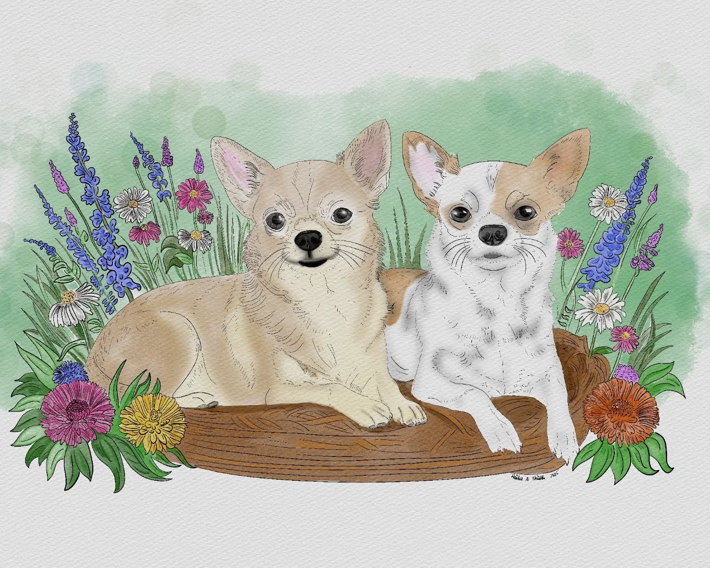 My most recently finished pet comm.
I used to be a veterinary assistant. I was fear free certified and working on getting my CVT. But I also have many chronic illnesses and the "rodeo" of animal care was starting to become too much for my body. After a while I ended up having to leave that profession. But my heart still has a very large space for critters. For that reason - I will always enjoy making pet portraits and being able to capture their quirky personalities.