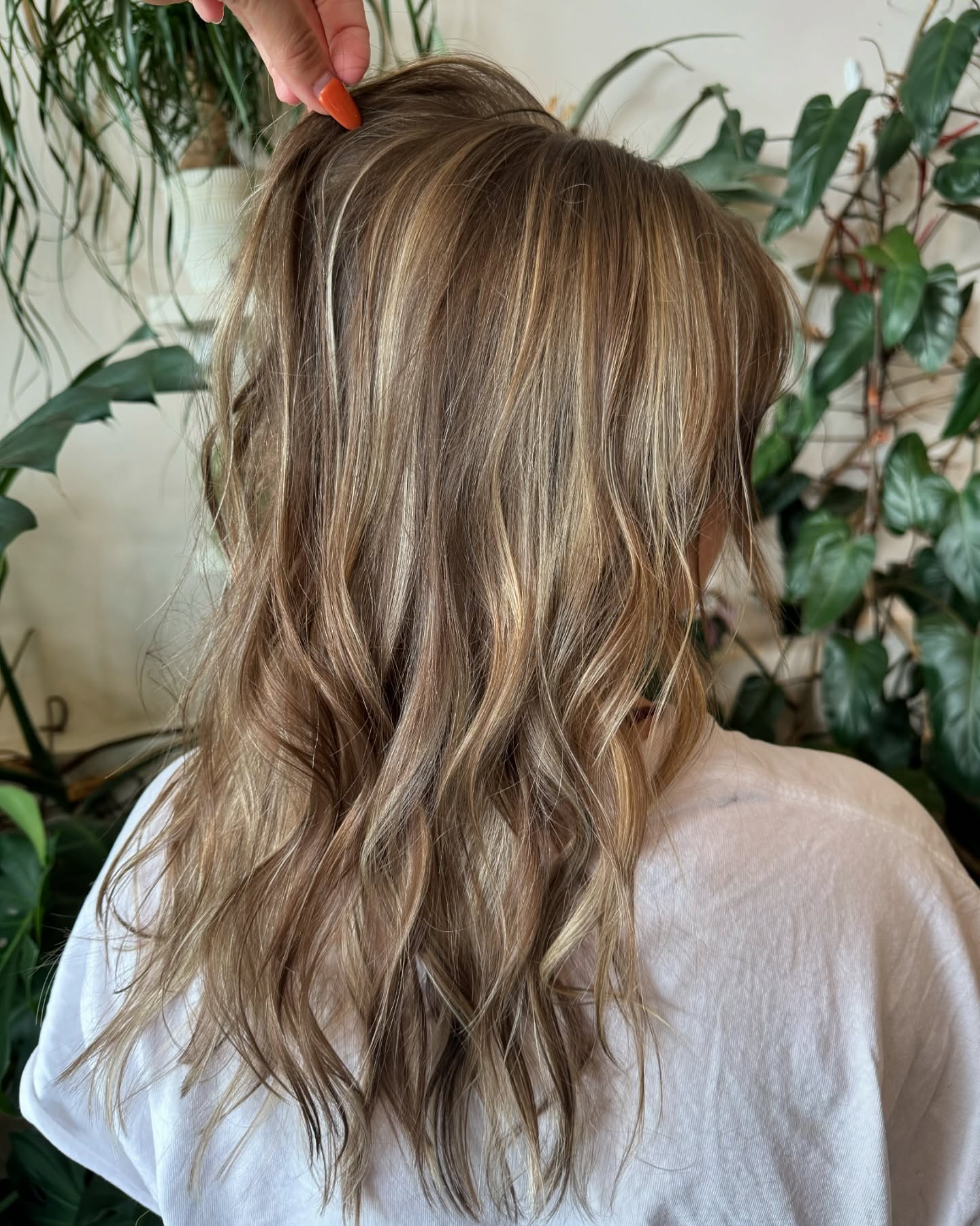Loving this color by @botanicsbeautylounge ✨
Rachel is still accepting new clients! Book with her via the website at www.balmsalon.com
#hairgoals #hairenvy #hairinspiration #hairobsessed #hairmagic #haircrush #hairperfection #hairtransformation #hairgamestrong #haironpoint #hairfashion #hairtrends #hairlove #hairart #hairchic #womenempowerment #womenowned #asheville #local #localsalon #avl #riverartsdistrict #rad #smallbusiness #localbusiness #balm #balmsalon #828isgreat #avlhairdresser