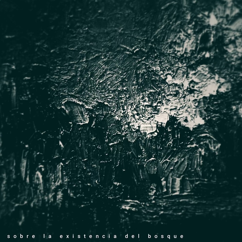 Sobre la existencia del bosque
@alfre.sam