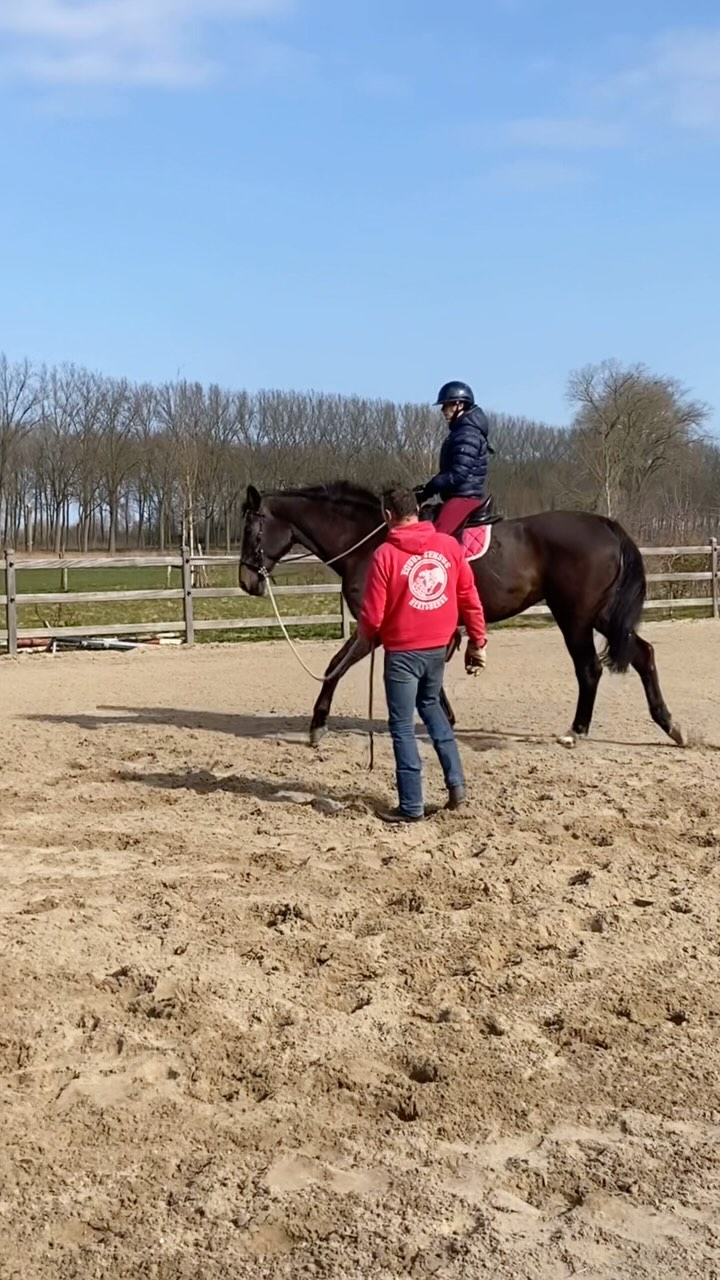 “ Succes without force
Partnership without dominance
Teamwork without fear
Willingness without intimidation
Harmony without coercion”
✨ we are getting there ✨
Teamwork with @emma.recoules
Thanks to @equussensus_oostkamp
✨ Happy horse, happy rider, happy client ✨
#horsebackriding #horsemanship #horses #paarden #paardencoach #paardrijden #paardrijlessen #horsereflectedcoaching #mbequitalents