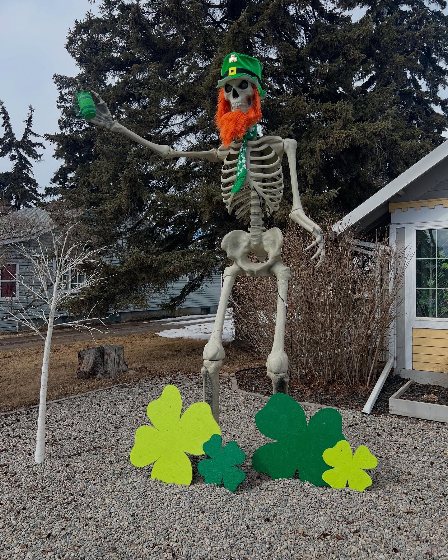 Happy St. Patrickโs Day friends! ๐๐ฎ๐ช