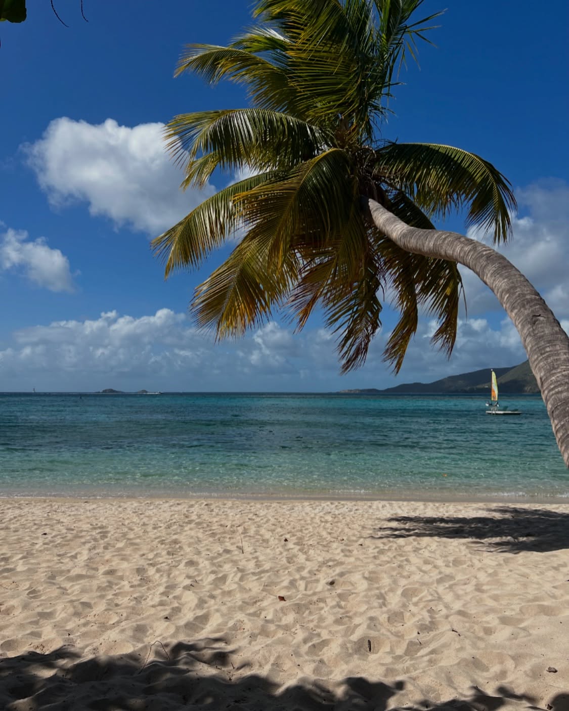 Friday vibes…🌴☀️😎🌊
#hoopla #hooplatravel #travel #beach #wanderlust