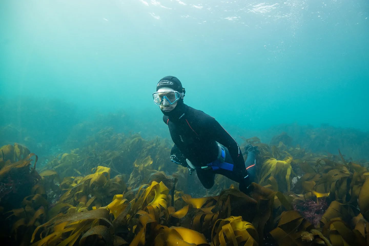 Had a good snorkel with @morganosman_photography last week. Not much life but some good vis about
#underwaterphoto #underwater #diving #ukdiving #padi #fourthelementdive #nikon #nauticam #nikoncreators #diving