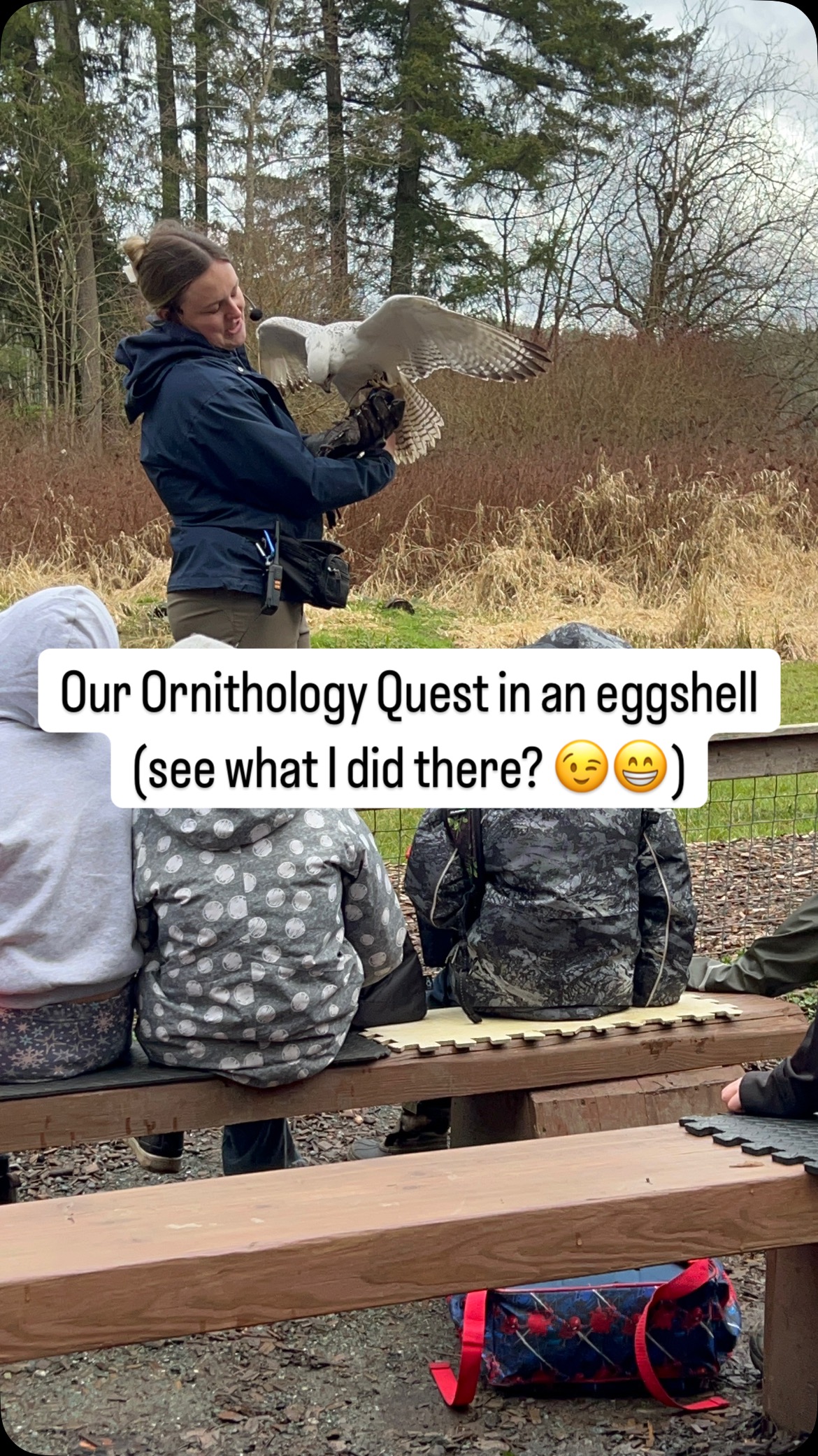 Thursday was our Exhibition, marking the end of our Ornithology Quest 🥳. On Friday we celebrated by going to check out The Raptors Sanctuary in Duncan and it did not disappoint! Watch to the end for some highlights from that day 🤩
Ornithology was the perfect topic to send us all off into our Spring Break, and we each left more inspired and in awe of these creatures we get to share our world with. We’ll be keeping our eyes to the skies, and look forward to reconnecting after the well-earned break ❤️
Happiest Spring Break to you all!
“A bird is joy incarnate.” — Myrtle Reed