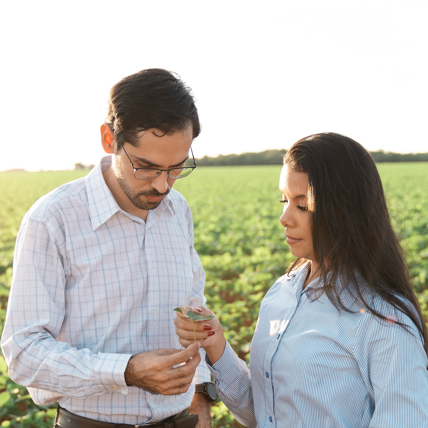 Mais uma semana de muito trabalho se encerrando e o nosso sentimento é dever cumprido.
Nos últimos meses exercemos um papel fundamental para assegurar a colheita e a comercialização de grãos produzidos em propriedades do Tocantins.
Cada trabalho realizado representa a confiança depositada em nós, o que nos encoraja a seguir com determinação e dedicação em defesa dos produtores rurais.
Contem conosco!
A todos um excelente fim de semana.
#direitoambiental #advocaciaambiental #agronegocio #agronaopara #agricultura #pecuaria #produtorrural #sustentabilidade