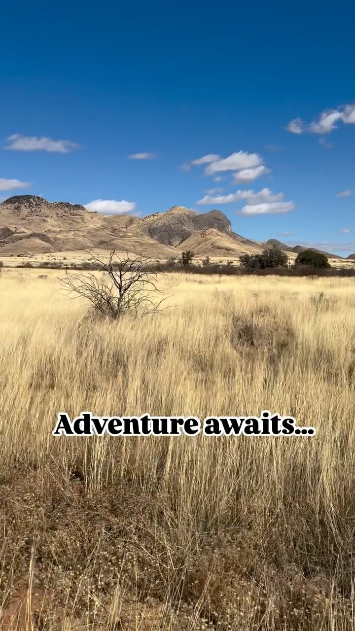 Will you join Emmy and Coco on their adventure? 🐾
#emmycocobooks