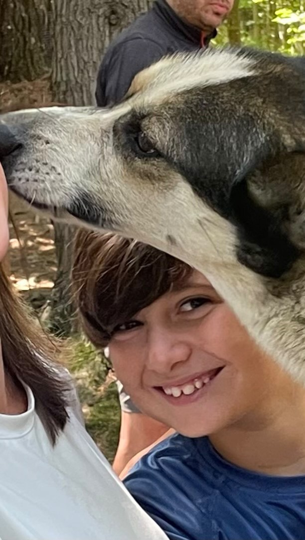 Hilltown Sleddogs bringing big smiles to sled dog campers & their families! #sleddogcamp #dogcamp #summercamps #doggielove