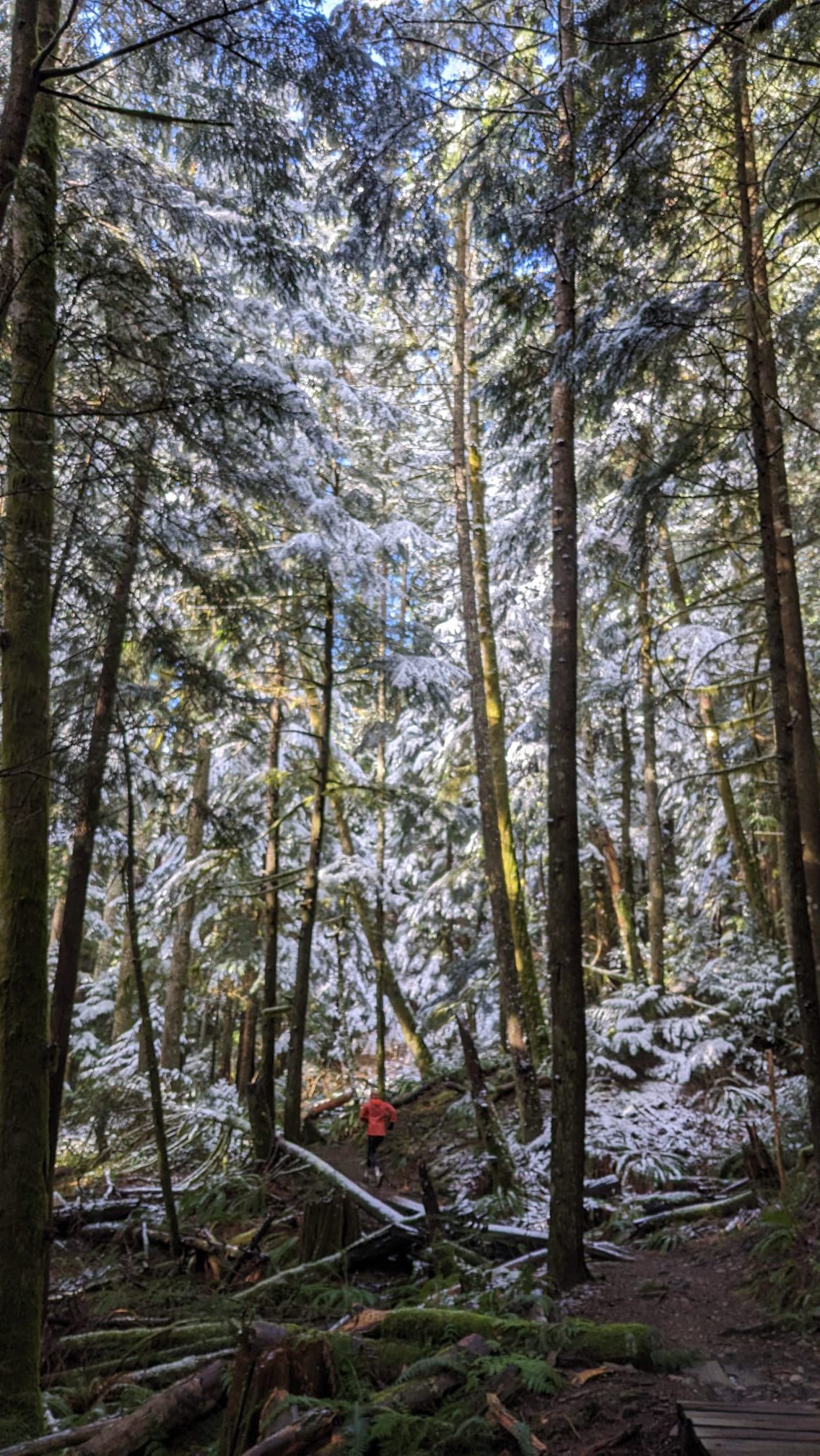 Spring is in the air, yet snow is still falling 😅🐸🌷☀️❄️
Grateful to kick off my Spring into Trail running clinic this week with a stellar group of women!! And to also get to layer up to run into fresh snow in our backyard 😅. I’m embracing the opportunity of regrowth and rebuilding that this beautiful, variable season of spring brings ☺️🙌🏻☀️💚✨!! Can’t wait to share this next month with this new clinic crew as we sling shot ourselves into the season ahead!!
Remember as we lean into this change of season:
**layers are your friend as conditions can change in a second this time of year!!**
**ease into your training if you’re just getting back at it and don’t nose dive into big days justtt because the conditions inspire you**
**snacks snacks snacks and hydration are life, on the trails and off 🍪☕️🍎🍌**
Happy spring all! Get out there and embrace the fresh growth and building that this season brings 🤗!!
#spring #trails #happiness #trailrunning