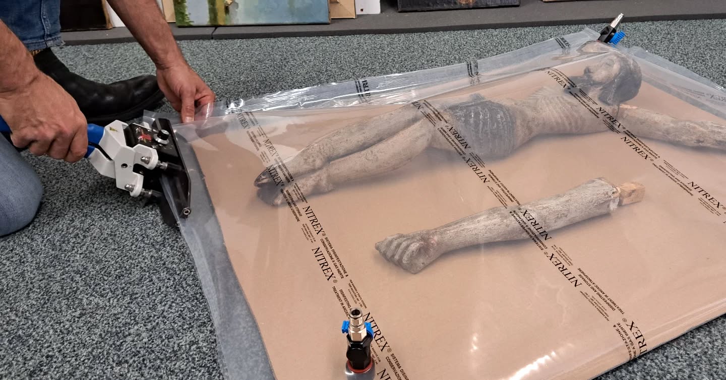 Unwanted Guests in Your Artwork? 🪵🪲
Discovering a woodworm infestation in a cherished art object is always frustrating. Small exit holes, fine wood dust, or even faint gnawing sounds are clear signs that these pests are still active inside the wood. But don’t worry – at my restoration studio Golden Bloom, we’ve got it covered!
My colleague Aldo Manzo (Restauratie Aldo Manzo studio) treats infested objects using the Anoxia method – as seen in the photo with this wooden sculpture. This technique removes oxygen over several weeks, ensuring the pests are safely eliminated. It’s a gentle process that leaves no toxic residues, making it ideal for delicate artworks.
If you suspect a woodworm infestation, feel free to reach out! ✨
📍 Golden Bloom Restoration Studio
Ongewenste gasten in je kunstwerk? 🪵🪲
Het is altijd vervelend om houtworm in een geliefd kunstobject te ontdekken. Kleine gaatjes, fijn houtstof of zelfs zacht geknaag zijn duidelijke tekenen dat deze beestjes nog actief in het hout zitten. Maar geen zorgen – in mijn restauratiestudio Golden Bloom lossen we dit op!
Mijn collega Aldo Manzo (Restauratie Aldo Manzo studio) behandelt aangetaste objecten met de Anoxia-methode – zoals te zien is op de foto met dit houten beeld. Bij deze methode wordt over meerdere weken de zuurstof onttrokken, waardoor de houtwormen veilig afsterven. Dit is een zachte en veilige behandeling die geen giftige resten achterlaat en ideaal is voor kwetsbare kunstwerken.
Vermoed je een houtwormprobleem? Neem gerust contact op! ✨
📍 Golden Bloom Restauratiestudio
#houtworm #houtwormbestrijding #Restauratie #erfgoed #cultureelerfgoed