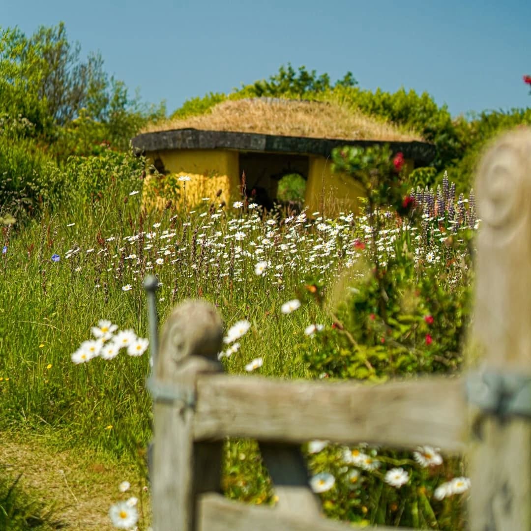 Lovely to welcome in the birdsong and lighter mornings these days🌼 We're getting very excited about Spring & Summer🌻
To kick-start the season here, @caffirfelin will be opening it's doors next Friday 21st March!
Then to follow, the Airbnbs & Campsite are now open for bookings for the start of April onwards🏕
Keep up to date with our website (linked on our profile) for details and updates on workshops and events!
...
Braf cael croesawu'r boreua gyda'r adar yn canu ar dyddiau yn enhangu gyda fwy o olau pob ochr! Mae'n neud I ni deimlo'n cyffrous iawn am y Gwanwyn ar Haf o'm blaena!
I gychwyn y tymor mae Caffi'r Felin yn ail-agor ei drysau dydd gwener nesaf y 21ain o Fawrth!
I ddilyn mae'r Airbnb's ar maes campio rwan yn cymeryd archebion ar gyfer cychwyn mis Ebrill ymlaen.
Cadwch lygaid ar ein wefan am y diweddariad ynglyn a gweithdai a digwyddiadau a gynhalwyd yma!