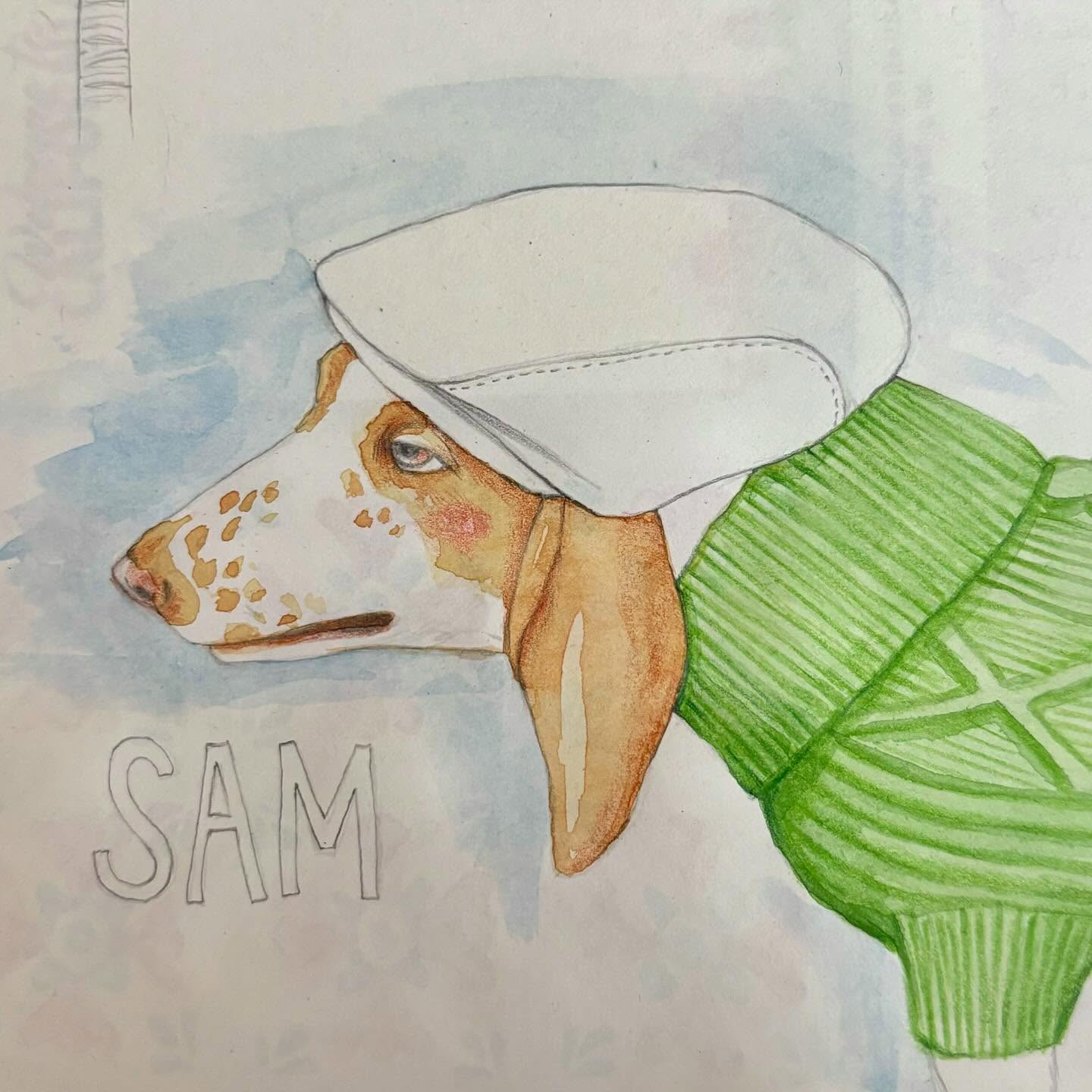 I hadn’t done any drawing just for fun in years and last fall I decided that needed to change. I have all these photos from trips I’ve taken, all kinds of subject matter from buildings to tiles to signs that I wanted to sketch but just never had the time for it. I started carving out little pockets of time wherever I could find them and have managed to get back into a routine of playing in my sketchbook weekly. The more drawing I’ve done just for fun, the more I want to draw and it feels really great.
This handsome boy is Sam and he belongs to friends we stayed with in Palm Springs last fall.