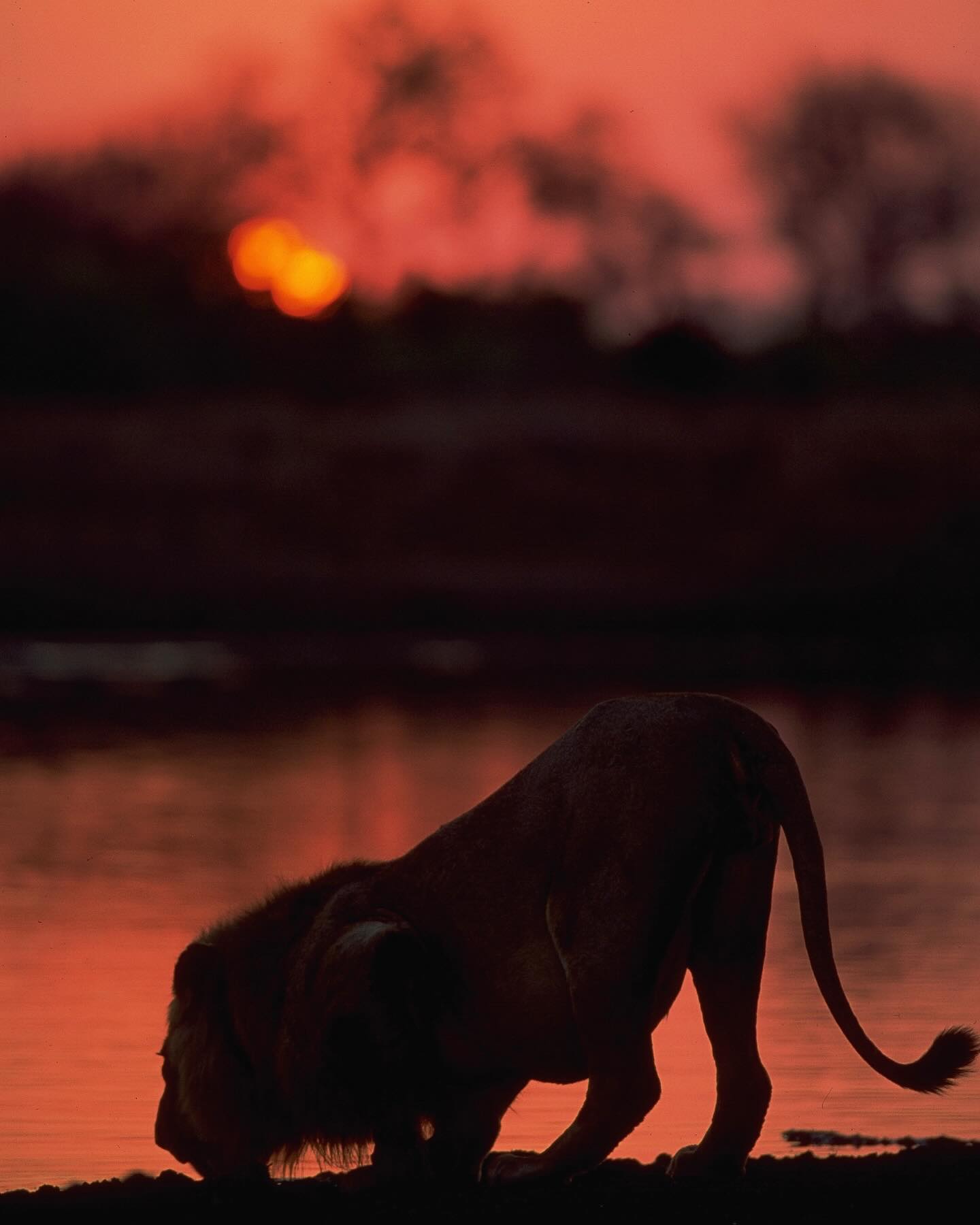 This one should be seen vertical as it was shot.