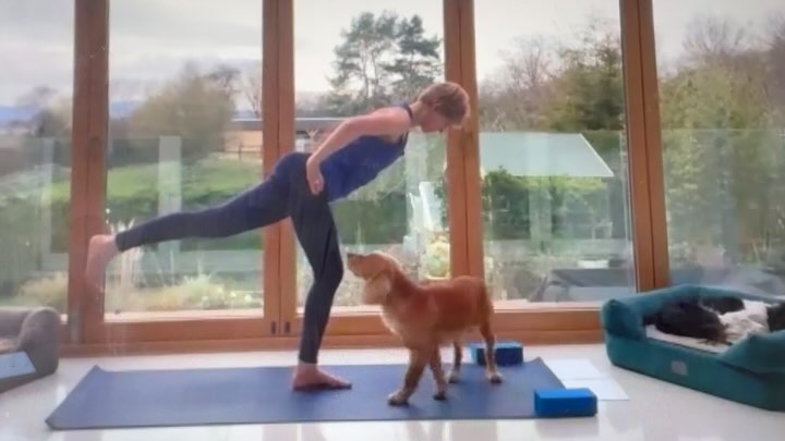 Sunday Sneak Peak of what’s coming in class this week minus the spaniel! #bredonyoga #overburyyoga #yogadog