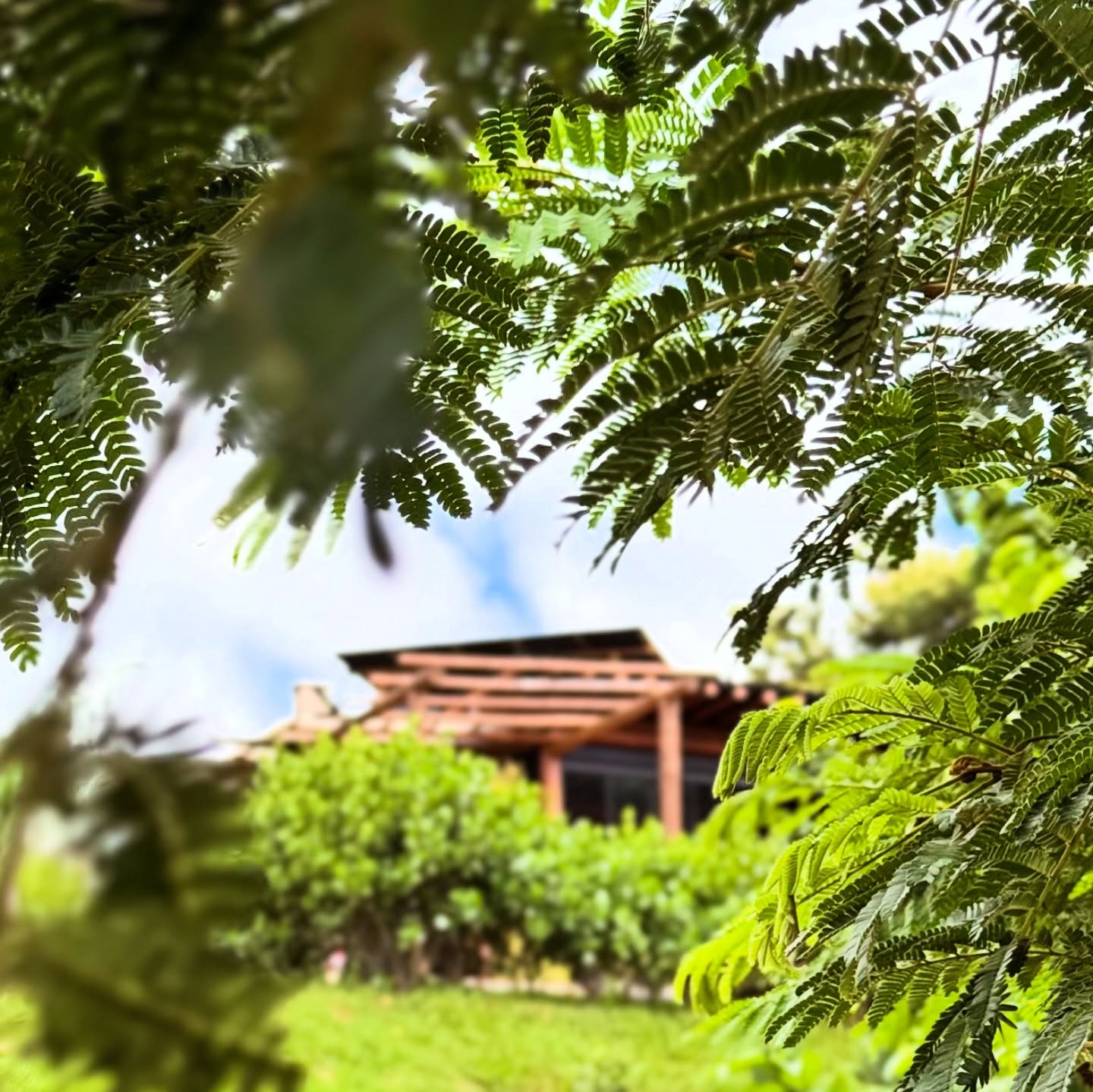 Seu refúgio perfeito em meio à natureza! Conecte-se, recarregue suas energias e aproveite momentos de paz e renovação na Doca 2 - Tabuleiro.
#docasdalapa #mg #lapinhadaserra #pousadas #airbnb #paz #refúgionanatureza