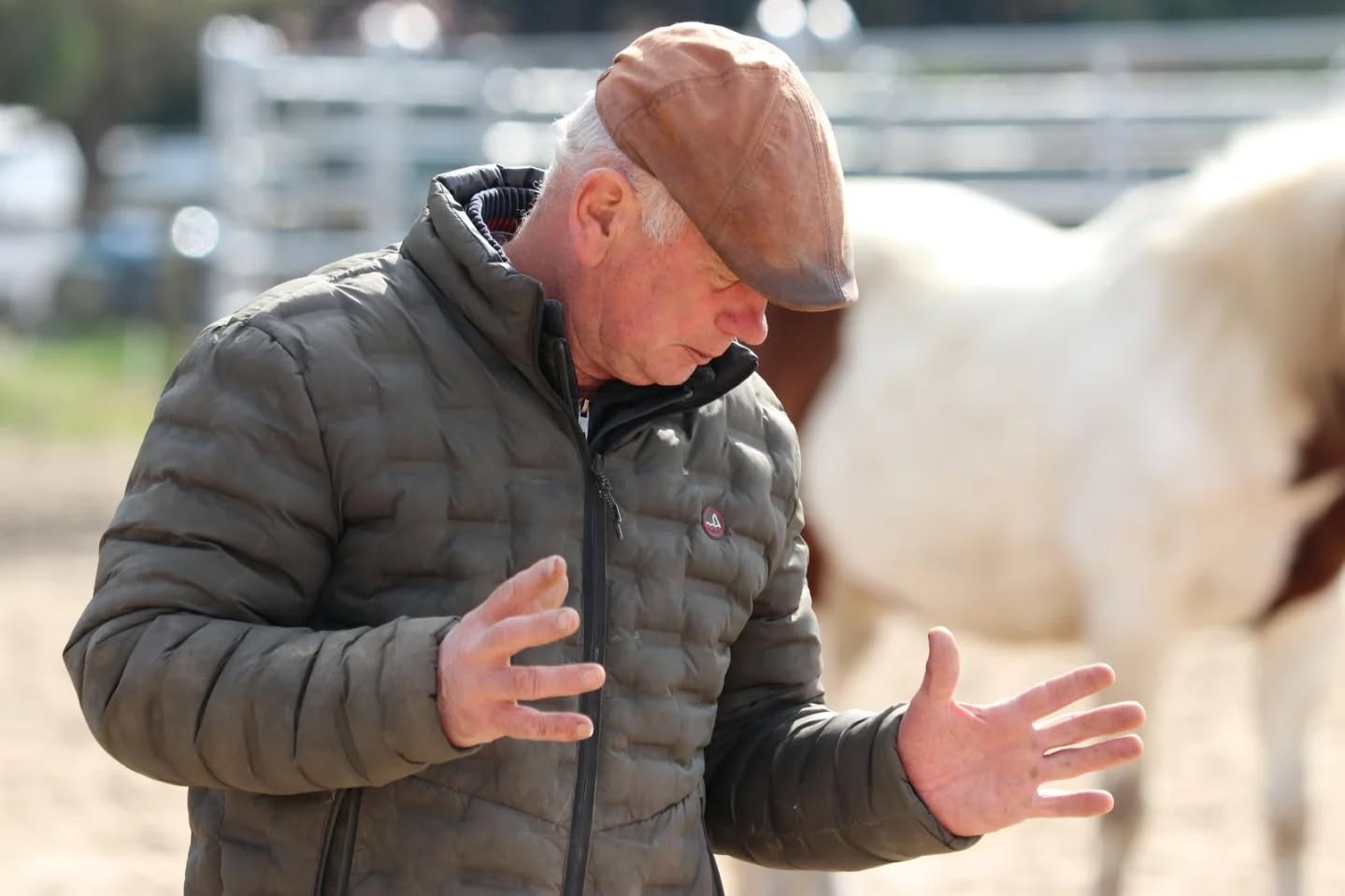 Hier Antoine a coaché 10 élèves de la formation Devenir Equicoach de @renaudsubra.
Merci à toutes de votre belle énergie et de votre confiance !
Photos courtesy by @mcdelagorce ⭐️
#equifeel #equitation #equitationbienveillante #equicoaching #equitology #equitationnaturelle #cheval #chevaux #horsemanship