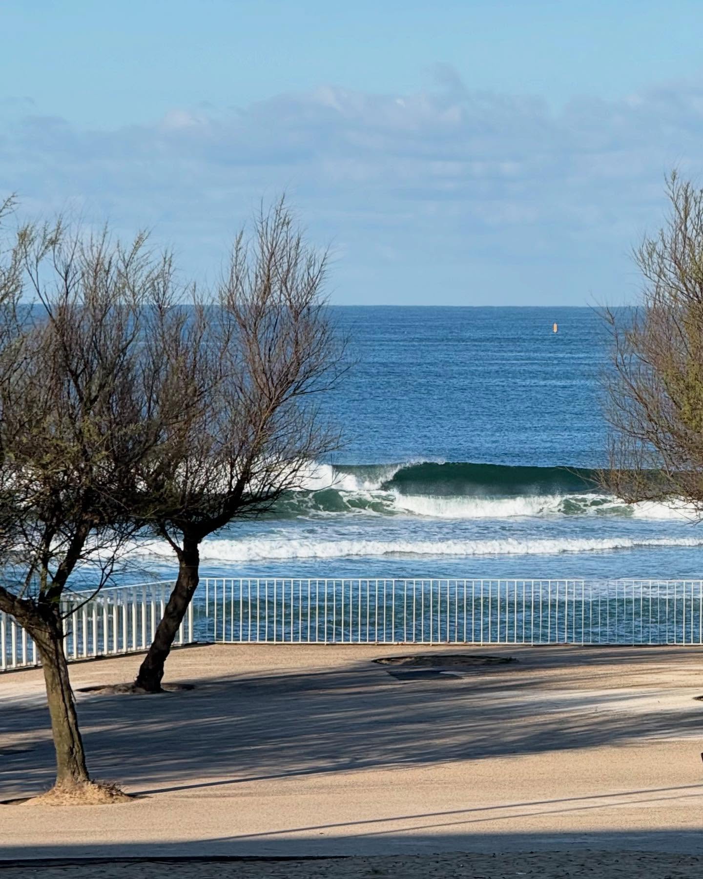 Sunday sessions at the homebreak always give fuzzy warm feelings, specially if you have the break all for yourself and a couple of fellow Dawn patrollers! Sleds du jour were a 10’3B3 @campbellbros glider and a 9’6 @christensonsurfboards Navitimer … the new space to stash the sleds is almost done and we have started the board rotation program that the added rack area allows!
#surfporto #sundaysurf #surfportugal #surfboard #surfboardclub #surfclub #christensonsurfboards #navitimer #fishsimmons #campbellbrothers #bonzer #bonzer3 #glidersurfboards #dawnpatrol #usblanks #jimphilips #jimthegenius #ospreysurfboards #wavegliders #wavegliderssurfboards #danielslongboards #surfboardbuilders