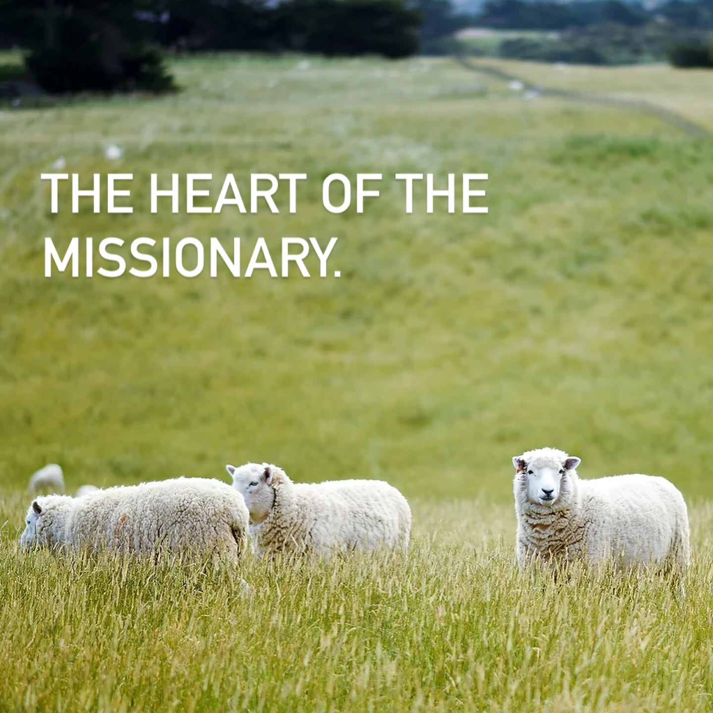 Read our latest article about the importance of prayer connected to missions!
🔗https://www.stewardsofsecrets.com/post/the-heart-of-the-missionary
-----
Lies unseren neuesten Artikel über die Bedeutung des Gebets im Zusammenhang mit Missionen!
🔗https://www.stewardsofsecrets.com/de/post/das-herz-eines-missionars
-----
¡Lee nuestro último artículo sobre la importancia de la oración relacionada con las misiones!
🔗https://www.stewardsofsecrets.com/es/post/el-corazón-del-misionero