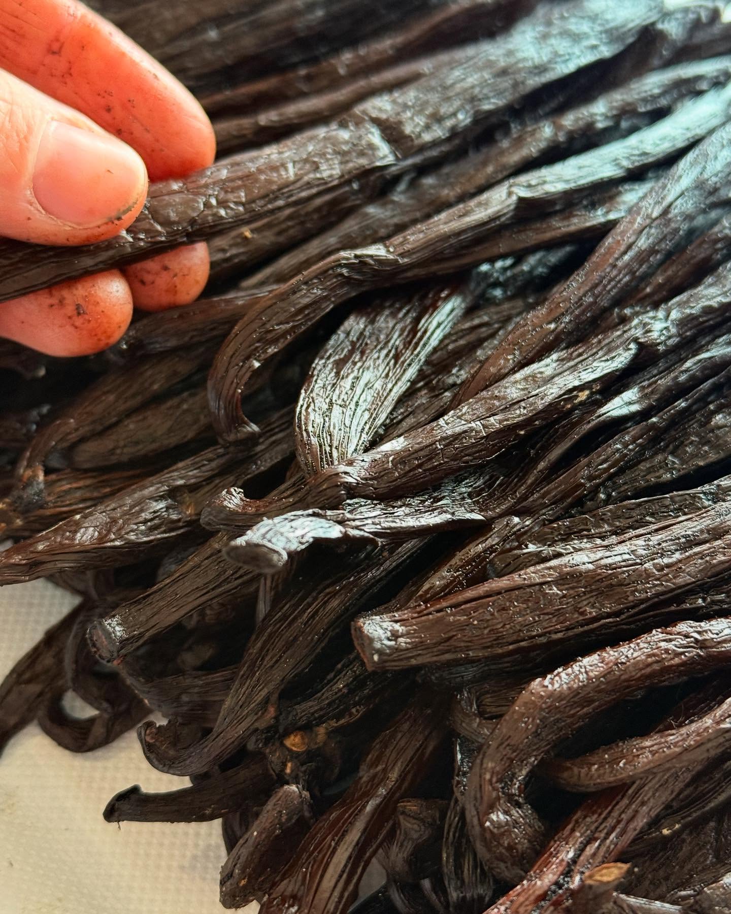 La clé : la qualité du produit 🔑
#byjoytraiteur #byjoy #traiteur #traiteurevenementiel #catering #traiteursurmesure #produit #frenchriviera #provence #sttropez #sainttropez #qualité #madagascar #vanillemadagascar #vanilledemadagascar #partage #convivialité #event #traiteurmariage #traiteurprivé