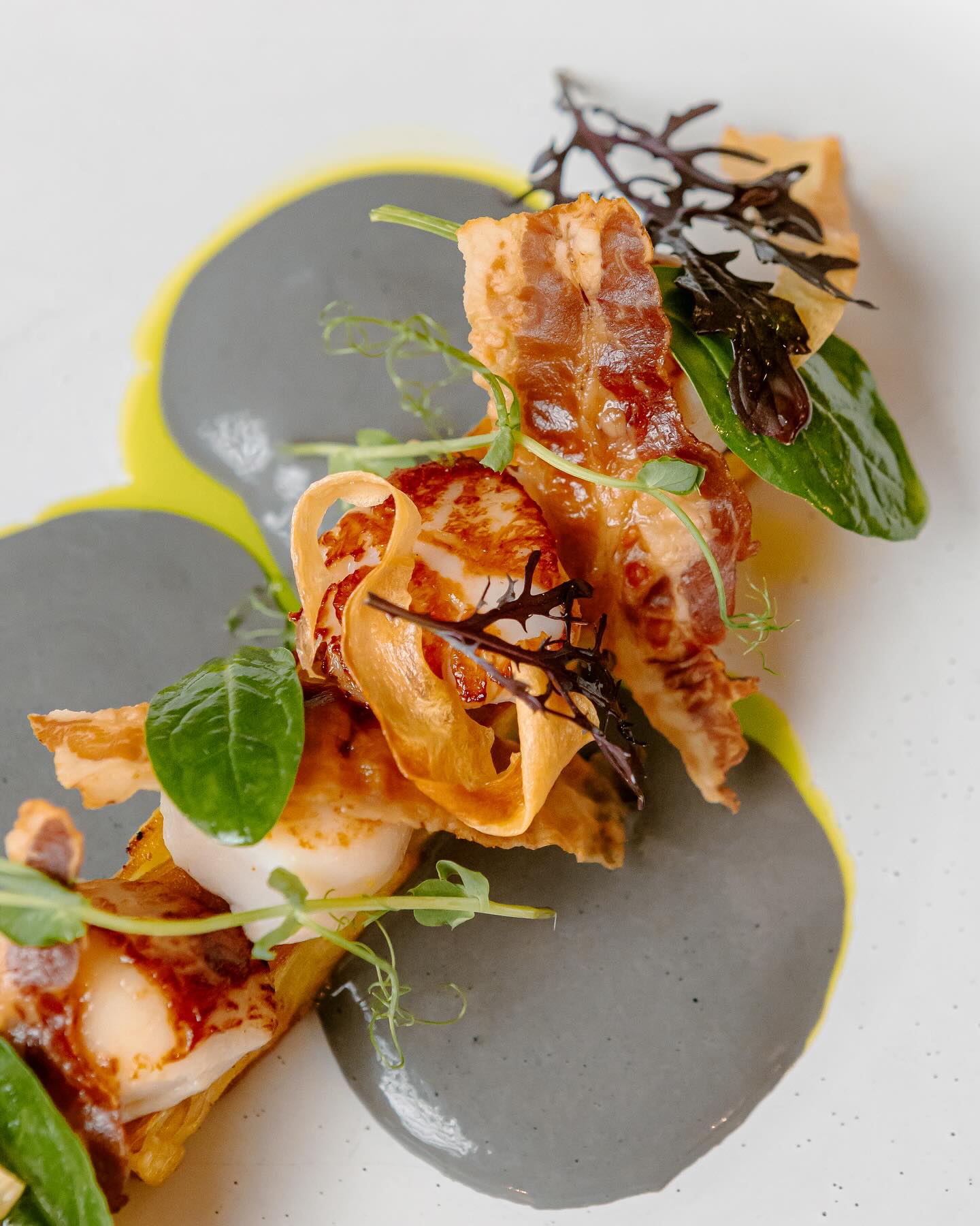 Nous prenons un peu de temps pour nous et les enfants. Nous nous retrouvons dès le Mardi 25 Mars midi avec en prime une petite surprise #surprise
Restez connecté, on en dévoile plus dans quelques jours 😎☀️🌱🌸
#brut #tabledesaison #Gastronomie #RestaurantLove #CuisineGourmande #ChefCuisine #restaurantsaintjeandeluz #DéliceCulinaire #ArtCulinaire #CuisineLocale #DînerGastronomique #TableGourmet #SaveursDuMonde #PlatsGourmands #MenuDuJour #ExpérienceCulinaire #BonAppétit #Restaurateurs #FoodieFrance #PlatsSignature #CuisineDeSaison #saintjeandeluz Photo by @yum_photogourmande @elapoppies