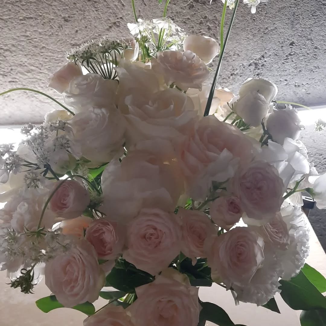 La delicatezza di un bouquett romantico www.ilbocciolo.it info wedding & events tel 375.7499450 #bouquet #wedding #cesanomaderno #weddingplannerlife #photography