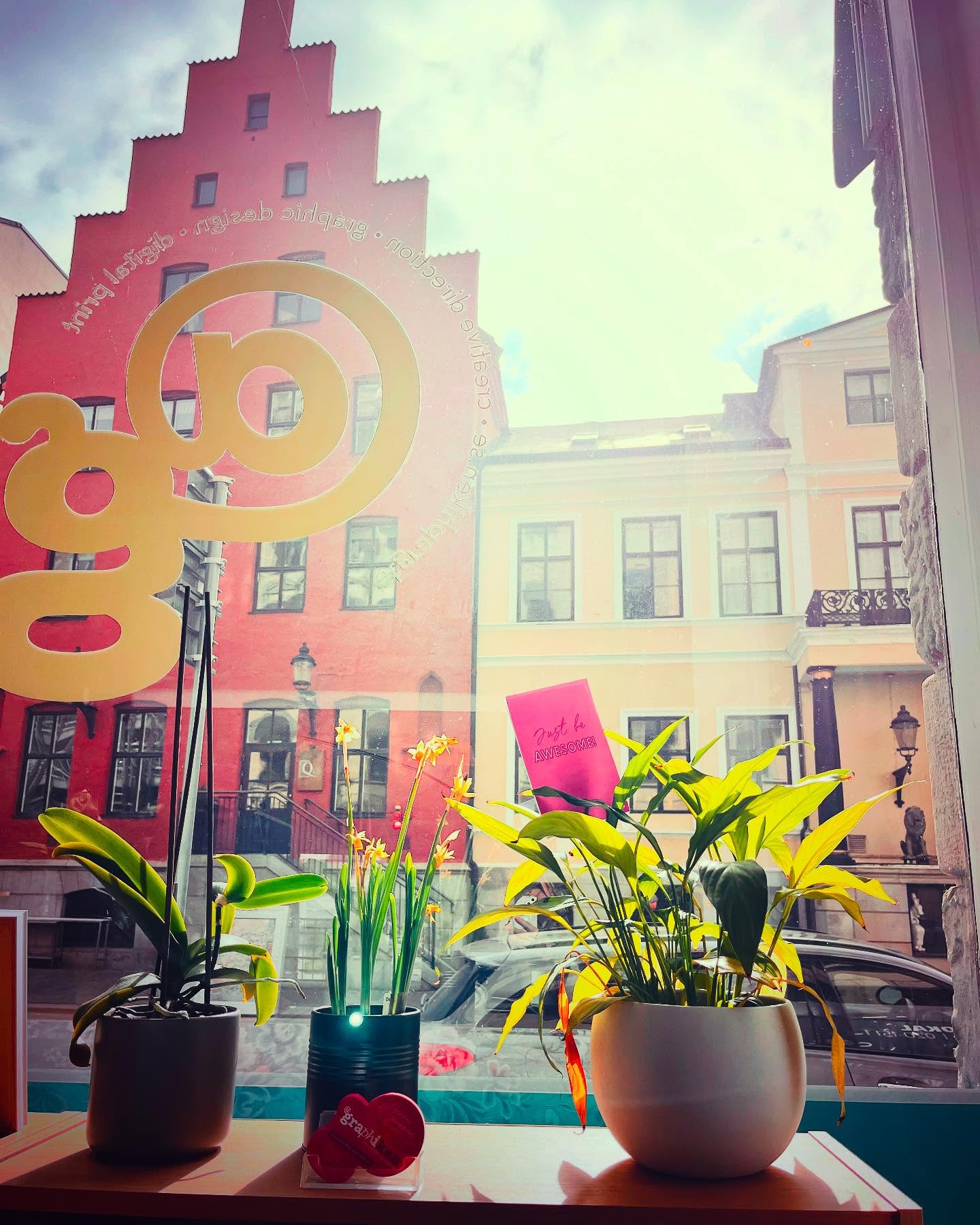 Hello sunshine 🤩 welcome! ☀️ #justbeawesome 🤘