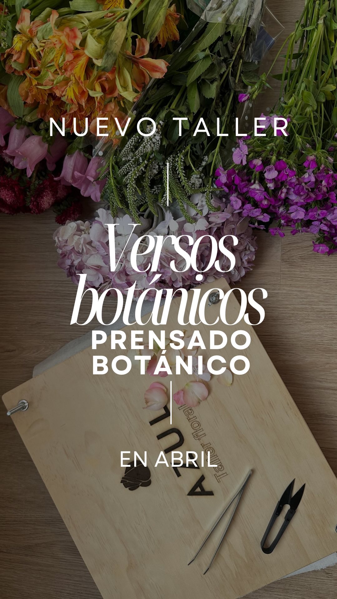 🌱VERSOS BOTÁNICOS es un espacio donde el arte del PRENSADO BOTÁNICO🌸 se convierte en un reflejo de nuestro propio proceso de transformación.
Cada flor prensada es un instante atrapado en el tiempo, un recordatorio de que nuestra belleza y fortaleza también pueden permanecer, incluso en los cambios.
Bienvenidos a nuestro taller.
#bienestarfloral #talleresflorales #conexiónnatural #autocuidado #artebotánico #artebotánico