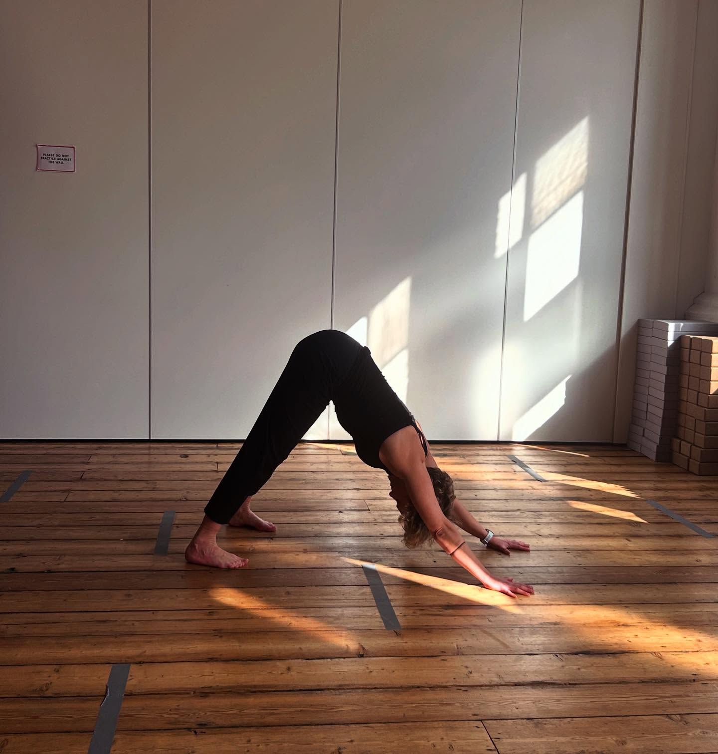 Why so many downward facing dogs?
I think it’s a beautiful pose, here’s why:
- It is even and balanced and that is all of Yoga in one pose.
- The gaze is inward facing, no distractions, no ego - no looking around. The pose brings you back to the breath.
- The diaphragm can release here, the breath can be broad and deep.
- There is a strength and a stillness to it, the pose is inviting you to listen in and if the body doesn’t want to be there, there are options: child’s pose, cat cow, rag doll.
- It is often a pause between flows and pauses are good.
- Kids love it.
Don’t be down on downward facing dog. Embrace the fundamentals, all of yoga is there. ❤️
#downwardfacingdog #downdog #adhomukhasvanasana