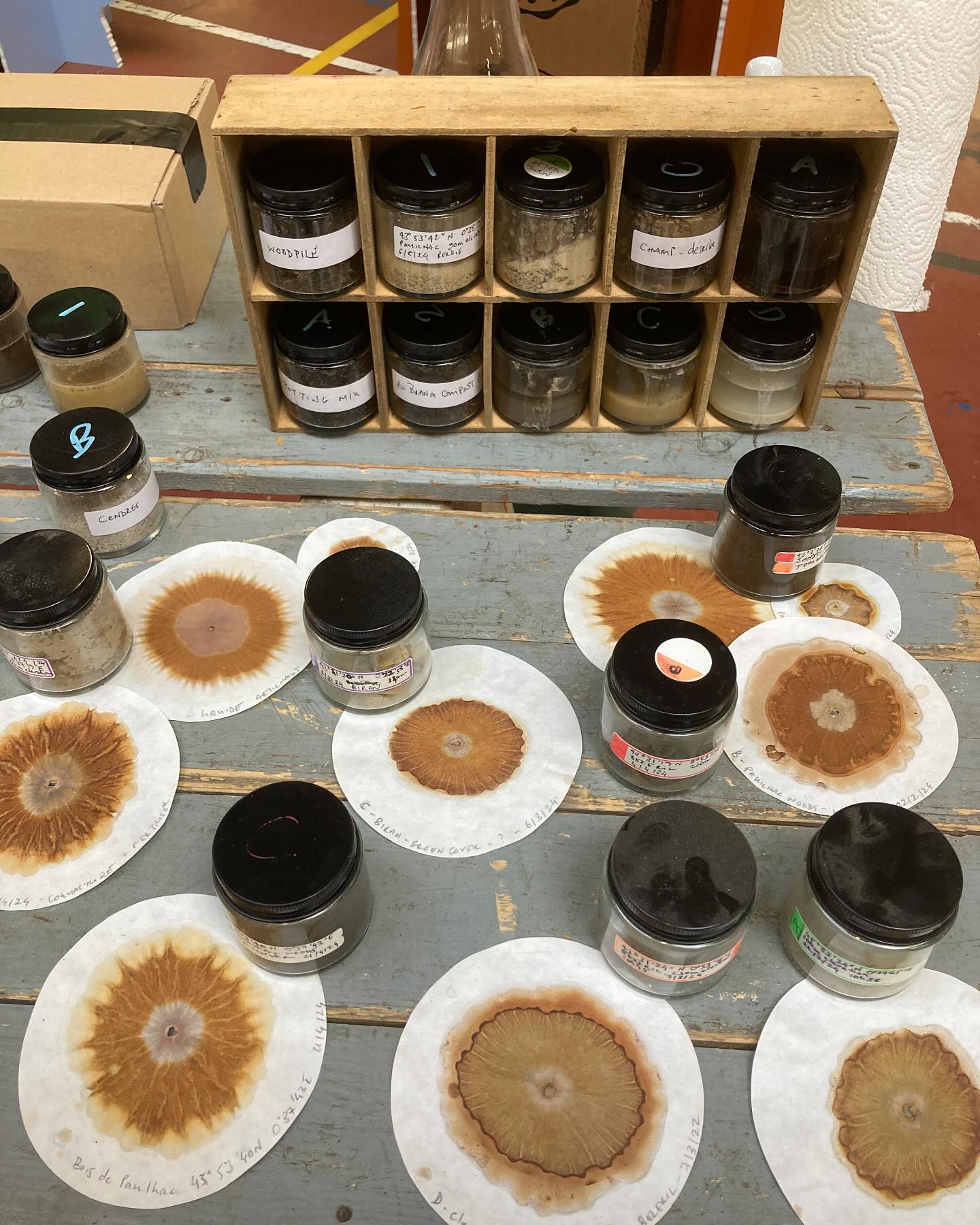 Alongside performing this week, we were also at the agricultural fair in Samatan sharing our experimentation with soil chromatography