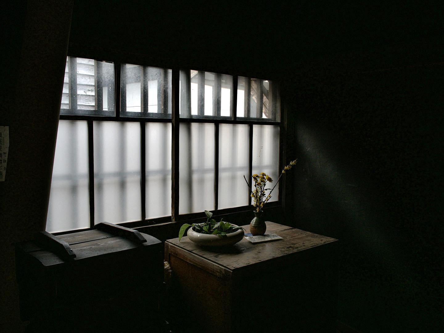 #rain #flowers #しずかな時間 #すぎゆく時間