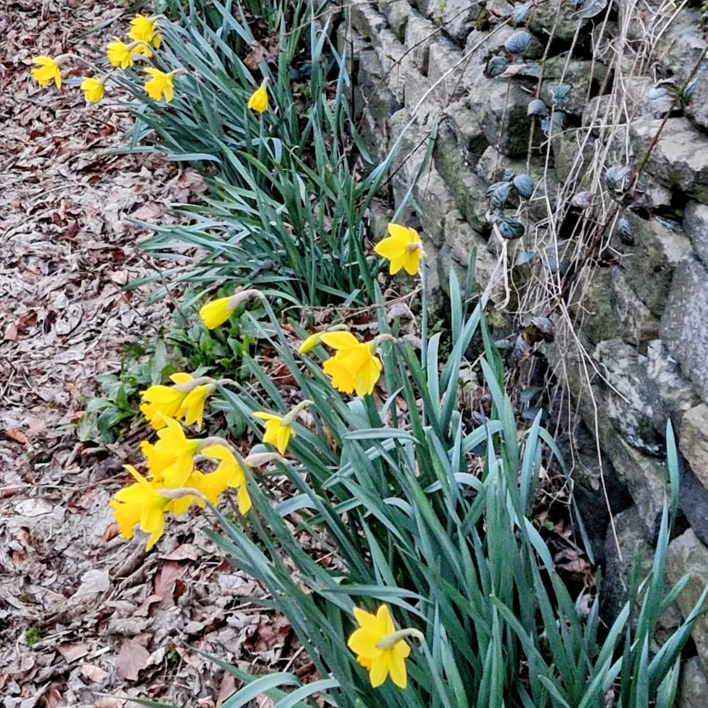 It feels like Spring is comingโ๏ธ๐ฟ