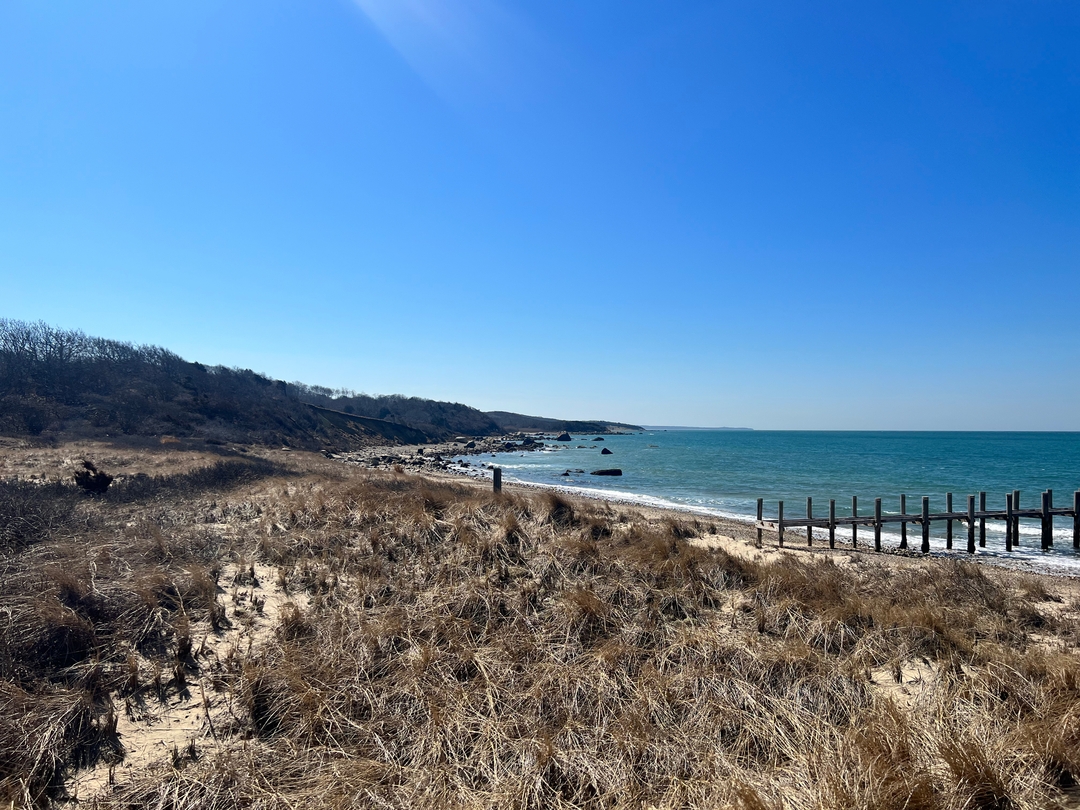 Feeling gratitude deep in my heart ☺️