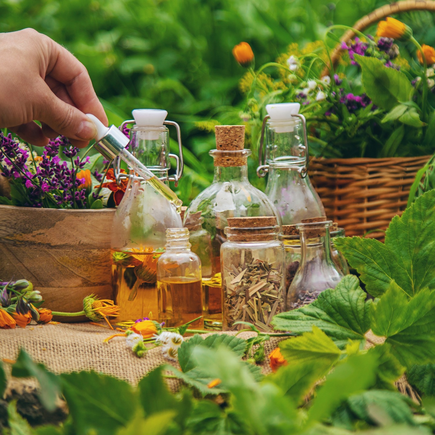 Ressentez l'énergie du printemps ! 🌿 Votre corps mérite un renouveau. Découvrez nos conseils pour un drainage du foie efficace et naturel. 🌼
https://www.lenergieenequilibre.com/post/le-drainage-du-foie-au-printemps-retrouvez-votre-vitalité
#énergieenéquilibre#printemps #détox