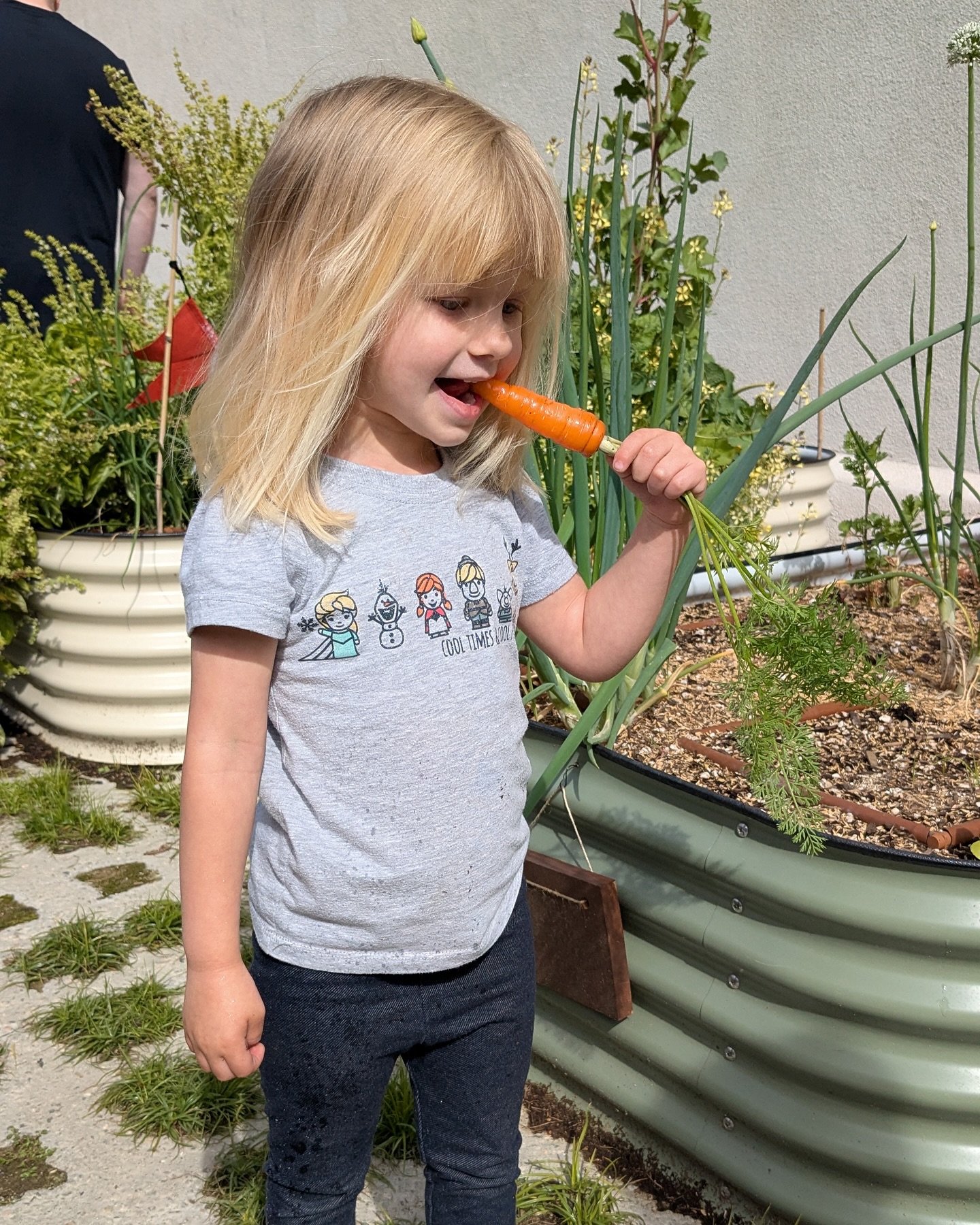 Winter harvest for plot-holders at Monrovia Community Garden South has been underway! 🥕🫛🥬🥦 It is amazing to see residents rally around this space and grow so much community in a little slice of town!
.
.
#communitygarden #community #garden #monrovia #monroviaca #growfood #wintergarden #urbangarden