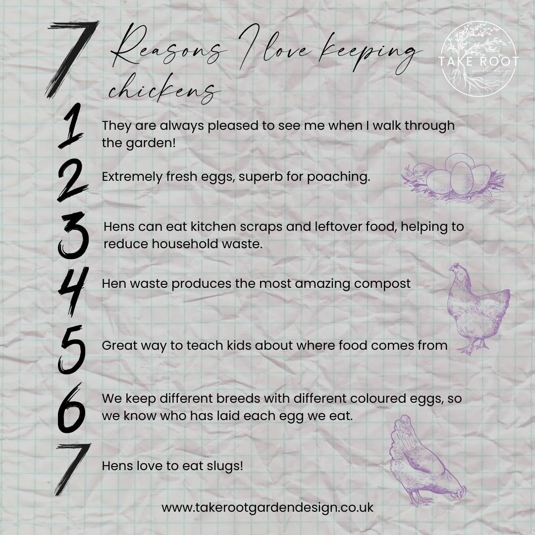 In honour of National Poultry Day here are my 7 reasons for keeping chickens. I LOOOOVE my hens and they bring me so much joy, their lovely clucking noise follows me whenever I'm in the garden and they provide amusement (read chaos) when they hop over to visit my neighbours children! You don't need much space, are easy to care for, friendly and there are automated gadgets that reduce the visits to once daily (although you can visit whenever you like, obviously!).
#NationalPoultryDay
#PoultryDay
#ChickenLovers
#backyardchickens
#backyardhens