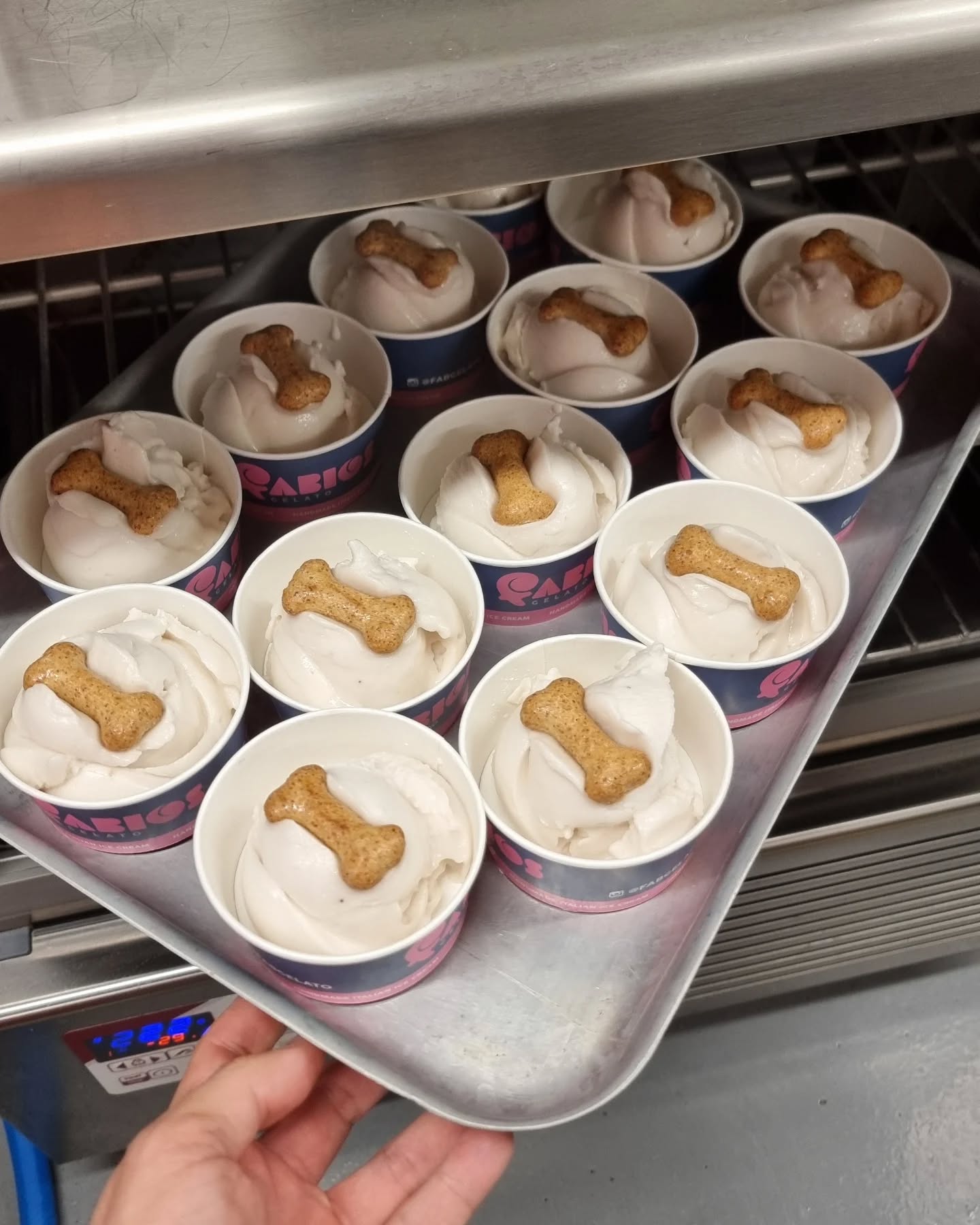 Dogios Gelato now avaliable in Weston, Hitchin and Letchworth #dog #hitchin #letchworth #familybusiness #dogicecream