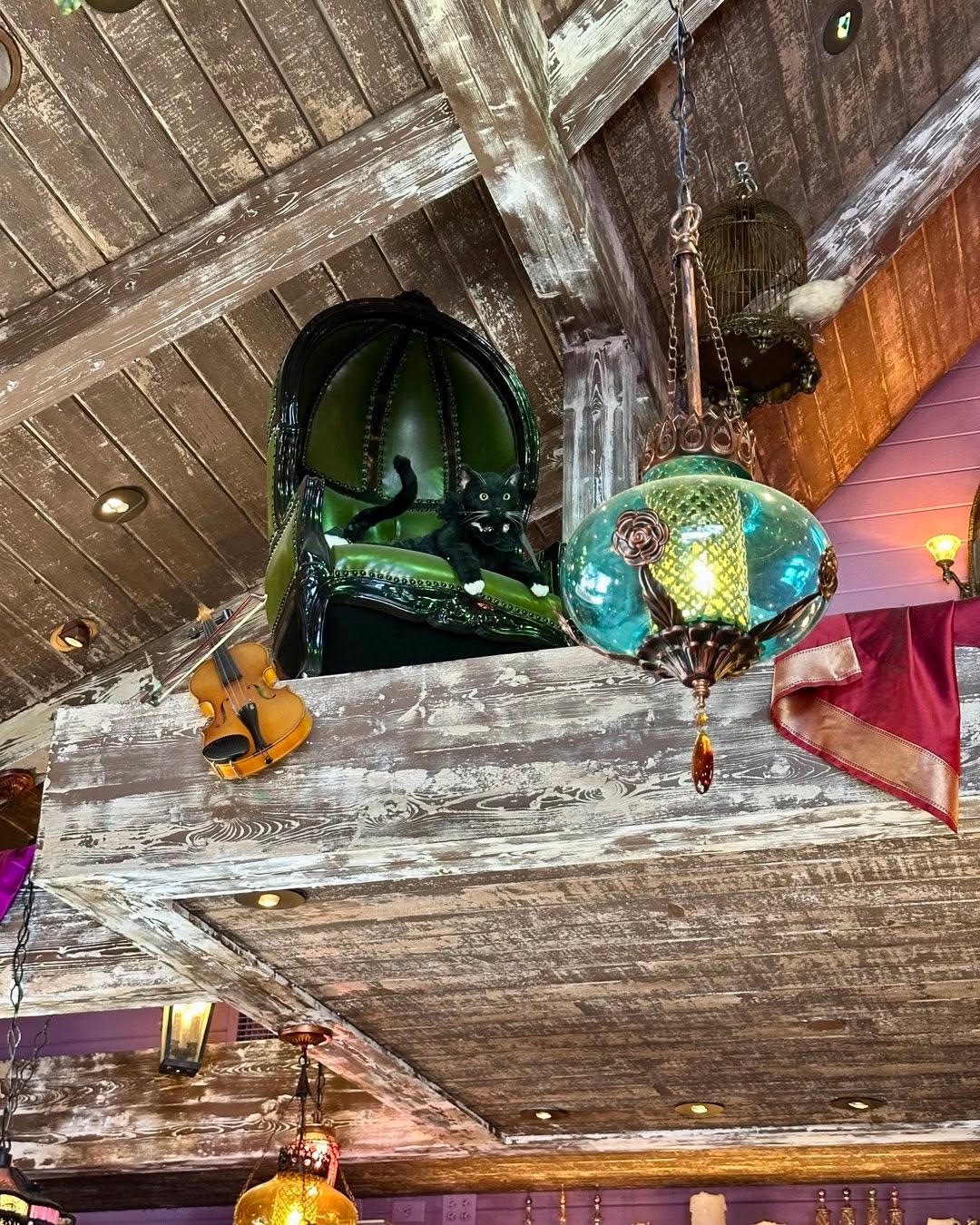 Where in the Disney “World” is this? I’ll give you a hint; you probably have not seen this in person if you haven’t been to Disneyland in the last 6 months.