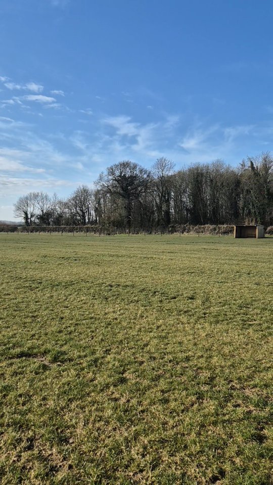 Summer ..... Is that you?
#bestinfieldewen #cirencester #dogtraining #securedogfield #dogfield #dogs