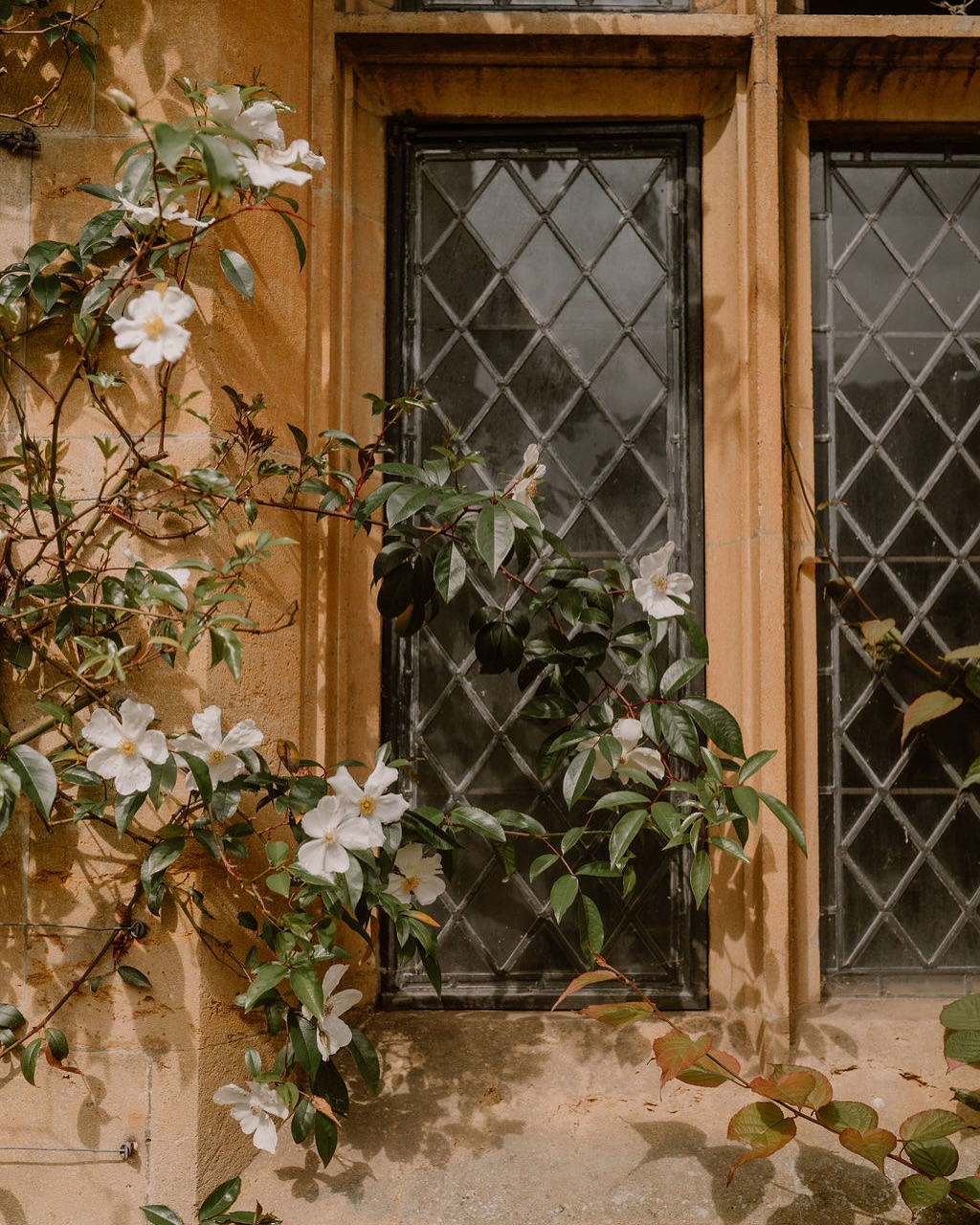 A little taste of what a wedding in Oxford, or the Cotswolds, looks like…
These are some of my favourite images from a shoot at Sudeley Castle last year. Climbing roses against honey-toned walls, doors older than time, and perfectly manicured gardens. 10/10 every time.
Photographer: @anneletournel_photography
Florist: @the_foxglove_diaries
Venue: @sudeleycastleweddings
Tableware: @wrenark_
Linen: @alba.tableware
Cake: @cakedaydreams
Harpist: @noa_harpist
#weddingplanneroxford #oxfordshire #oxfordcamera #ig_oxford #cotswoldwedding #onthedaycoordinator #observingoxford