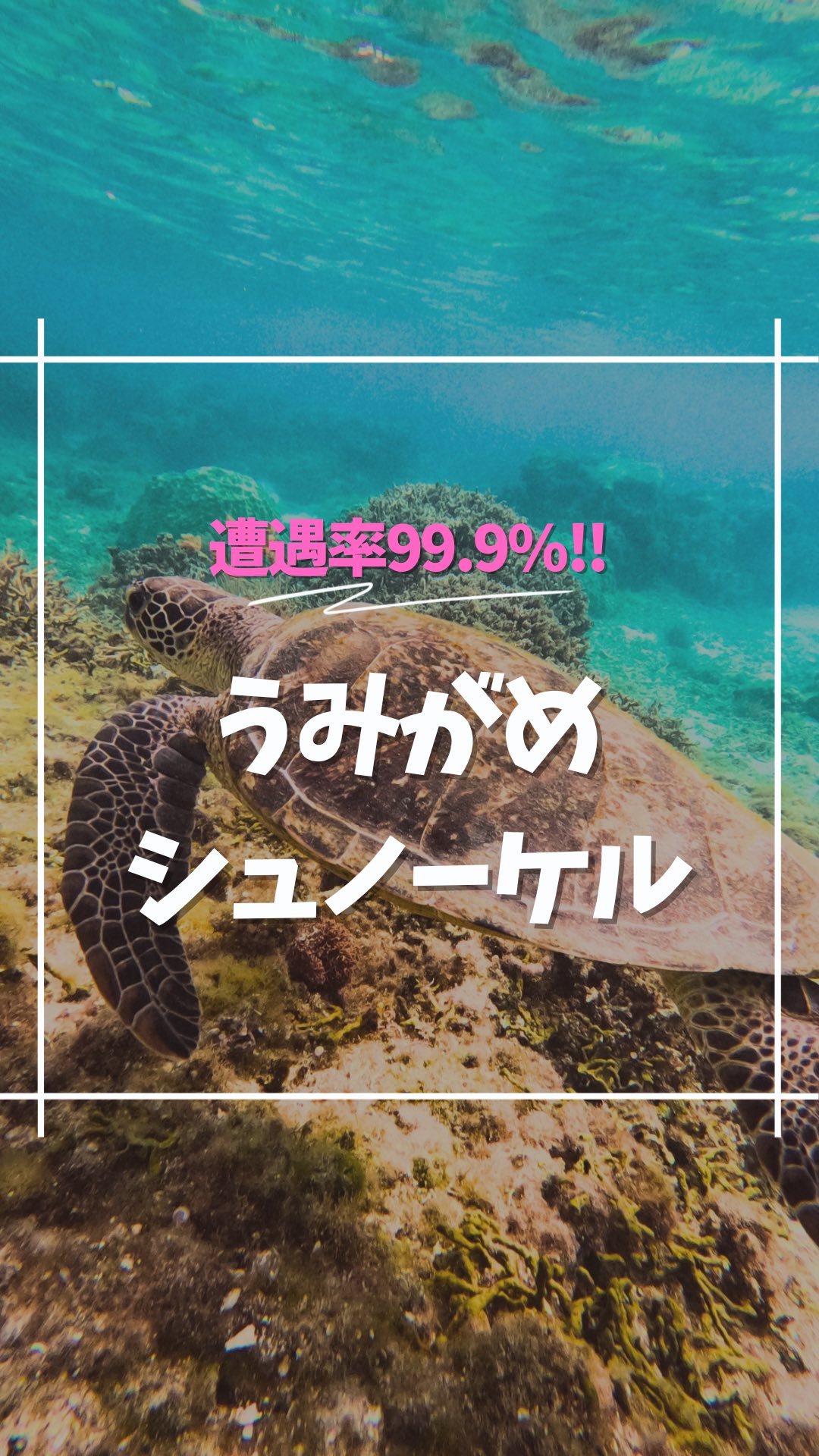 春休みのご旅行に、とおしめマリンのうみがめシュノーケル体験をご利用いただき誠にありがとうございました😊🐢
初めてうみがめと泳ぐ体験は、一生の思い出になりました🌟と嬉しいお言葉もいただきました🙌🎉
体力に自信がない方や、泳げない方でもインストラクターが浮輪🛟で支えて引きながら進みますのでご安心くださいね🤗
\初めてでも安全に楽しめます!/
楽しくシュノーケルしていただくためのポイントや、疲れにくいコツなどもレクチャーさせていただきます🙆🏻♀️
もちろんウェットスーツ貸出無料ですのでご安心ください😉👍ツアー終了後は暖か〜いシャワーも浴びれます♨️🫧
🙌\気軽に手ぶらでご参加OK/🙌
「大切なカメラを水辺に持っていくのは不安…😰」なんて心配もいりません❗️ツアー中はガイドが専用の防水カメラで皆様のお写真・動画を撮影し、データを無料でプレゼントいたします🐠📸🤗
【当日・前日ご予約OK】
大人気のシュノーケル体験⭐️
奄美大島の海を大満喫いただけるアクティビティ体験をお手頃価格で👍🐠🪸🐢✨
🔰初心者さん大歓迎です🥰🔰
ほとんどの方が未経験‼️
初めてでも楽しめるアクテイビティです!🤗
公認インストラクターが丁寧にわかりやすくレクチャーいたしますよ☺️👍
奄美の海水温は冬も暖かいのでSUPやシュノーケリングを存分にお楽しみいただけますよ☺️🙏海の透明度も冬に年間最高透明度になる事が多いです🐠✨
ご旅行をご検討中の方はぜひお気軽にお問合せ、ご相談ください😊世界自然遺産に登録された奄美大島で、マリンアクティビティを大満喫いただけます🙌
🐬マリンアクティビティ メニュー🐬
#SUP
#クリアカヤック
#クリアSUP
#カヌー
#ジェットスキー
#バナナボート
#シュノーケル
#ボートチャーター
#水中スクーター
#ビーチBBQ
#プライベートビーチツアー
💡1名様〜団体様までご要望に合わせてツアー内容をアレンジすることも可能です😉まずはDMやお電話でもお気軽にご相談ください✨
📍とおしめマリンリゾート 芦徳事務所📍
〒894-0412 鹿児島県大島郡龍郷町芦徳377
☎️080-1118-7000
◉年中無休
...................................................
#鹿児島県#離島#奄美大島#奄美大島旅行#奄美大島観光スポット#海遊び#ビーチリゾート#シュノーケル#カヤック#クリアカヤック#ジェット#水上バイク#ボート#バナナボート#SUP#クリアサップ#世界自然遺産#カップル#学生旅行#サンセット#とおしめマリン#GoPro