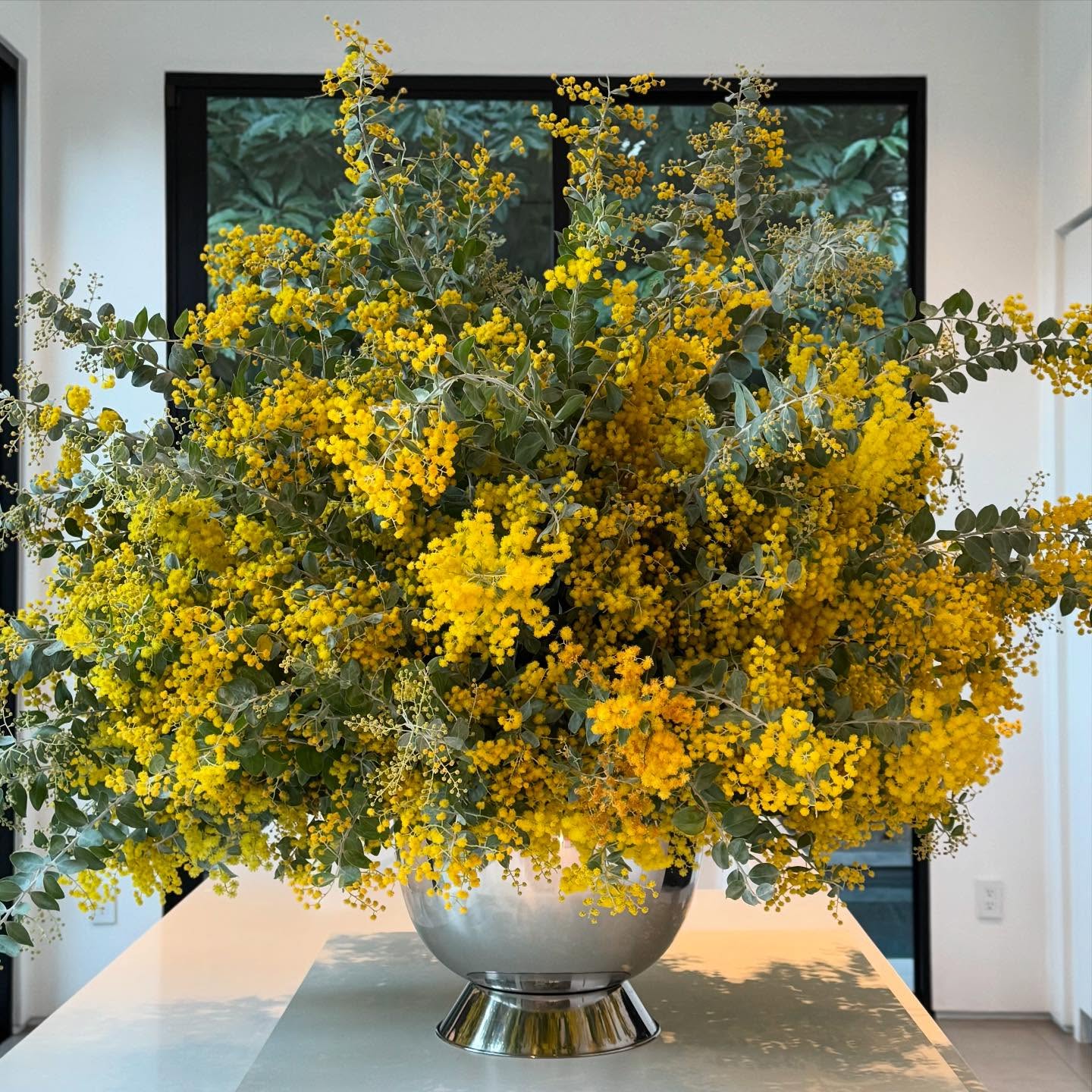 Spring in full bloom! 🌼 #spring #flowers #blossoms