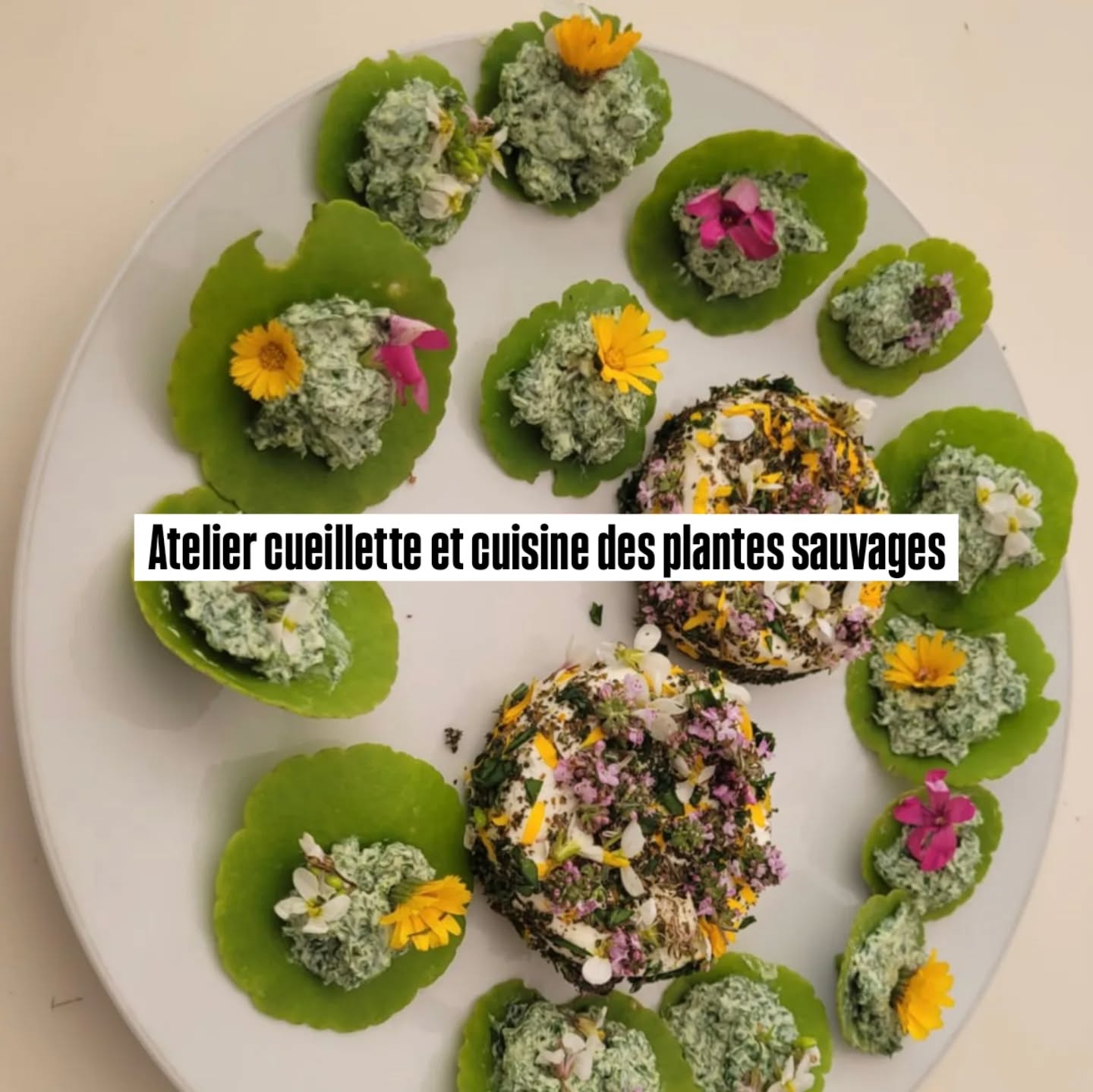 Miaam!😋 Le goût du printemps 🌻🌷 dans l'assiette lors de notre atelier de cueillette et cuisine des salades sauvages dimanche passé.🍽️🥗
Toutes nos activités sur le site www.naturecomestible.fr
#cueillette #cueillettesauvage #cuisinesauvage #cuisinerplantessauvages #saladessauvages #fromagedechevre #ateliernature