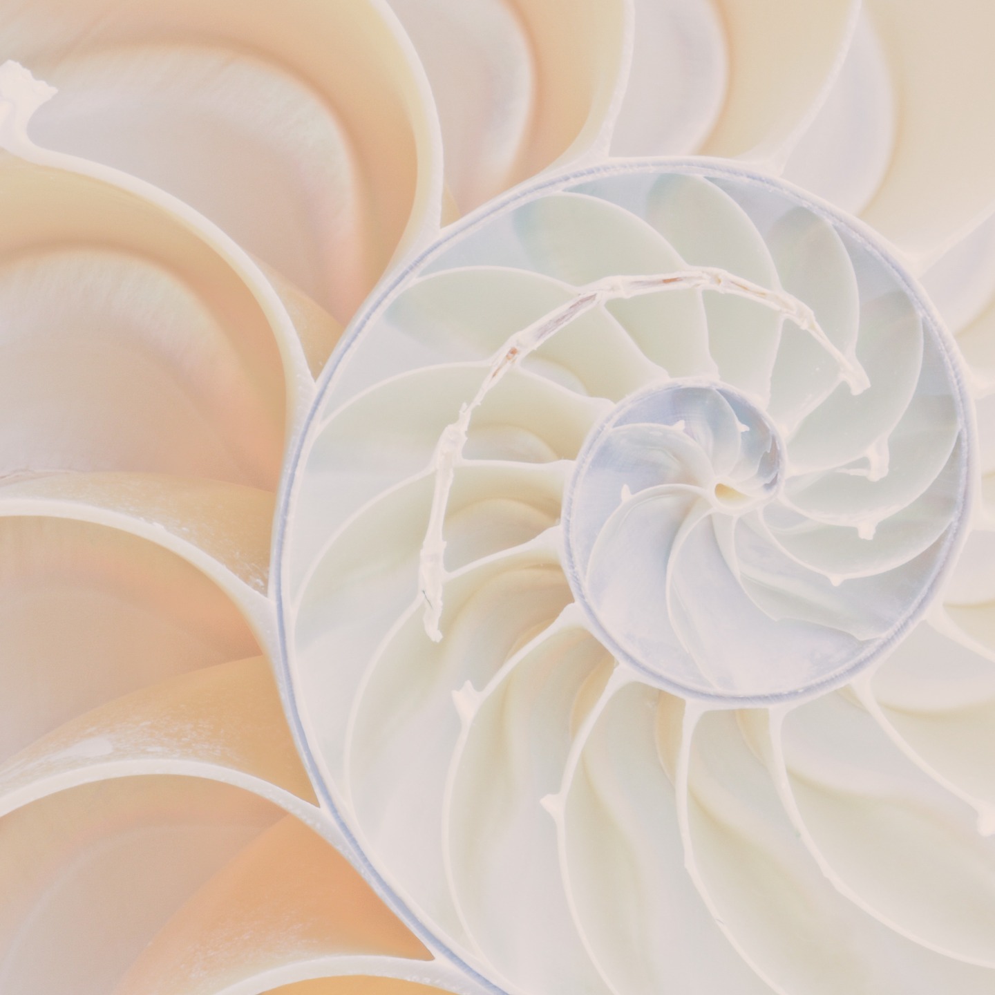 The helix is a symbol of growth and transformation.
Unlike a downward spiral, the helix is a natural shape of progress, evolution, and resilience. It represents the way we learn, adapt, and develop, moving forward through challenges instead of being trapped in cycles of struggle and distress.
At Helix Centre, this symbol reflects our approach to therapy and assessment: a process of growth, understanding, and self-discovery. Whether navigating neurodivergence, trauma, or mental health challenges, we believe in supporting individuals as they move toward greater clarity and empowerment.
#PersonalGrowth #Neurodiversity #MentalHealthSupport #TherapyForChange #ADHDAutismSupport