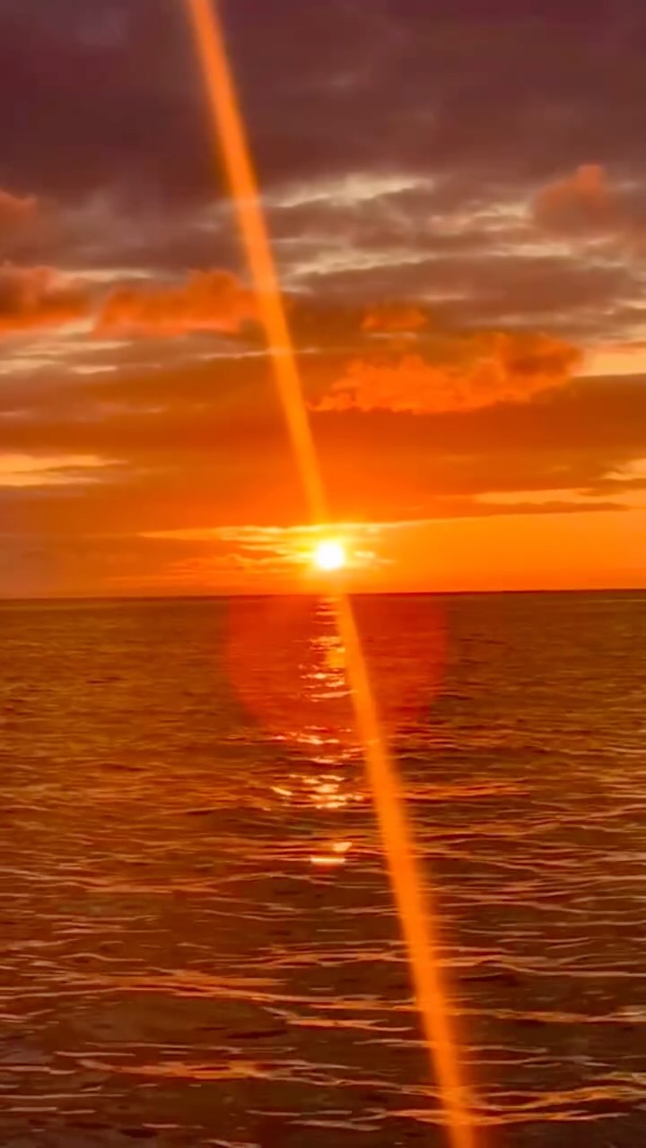 Quelle chance de pouvoir admirer de magnifiques lever du soleil ☀️ ⚓️
On a vraiment de la chance 🌈
On est gentil, on vous en partage quelques-uns et sans retouche, ni filtre, bien évidemment 🫶🏼
#providence #araigneesdemer #araignees #poisson #fish #local #ultrafrais #artisanal #coquillessaintjacques #coquillesstjacques
#venteendirectdupecheur #femmemarinpecheur #womenfishing
#erquy #erquytourisme #bretagne #capderquyvalandré
#bretagnetourisme #mydinancapfrehel #bretagneforever #pourdebon #expedition