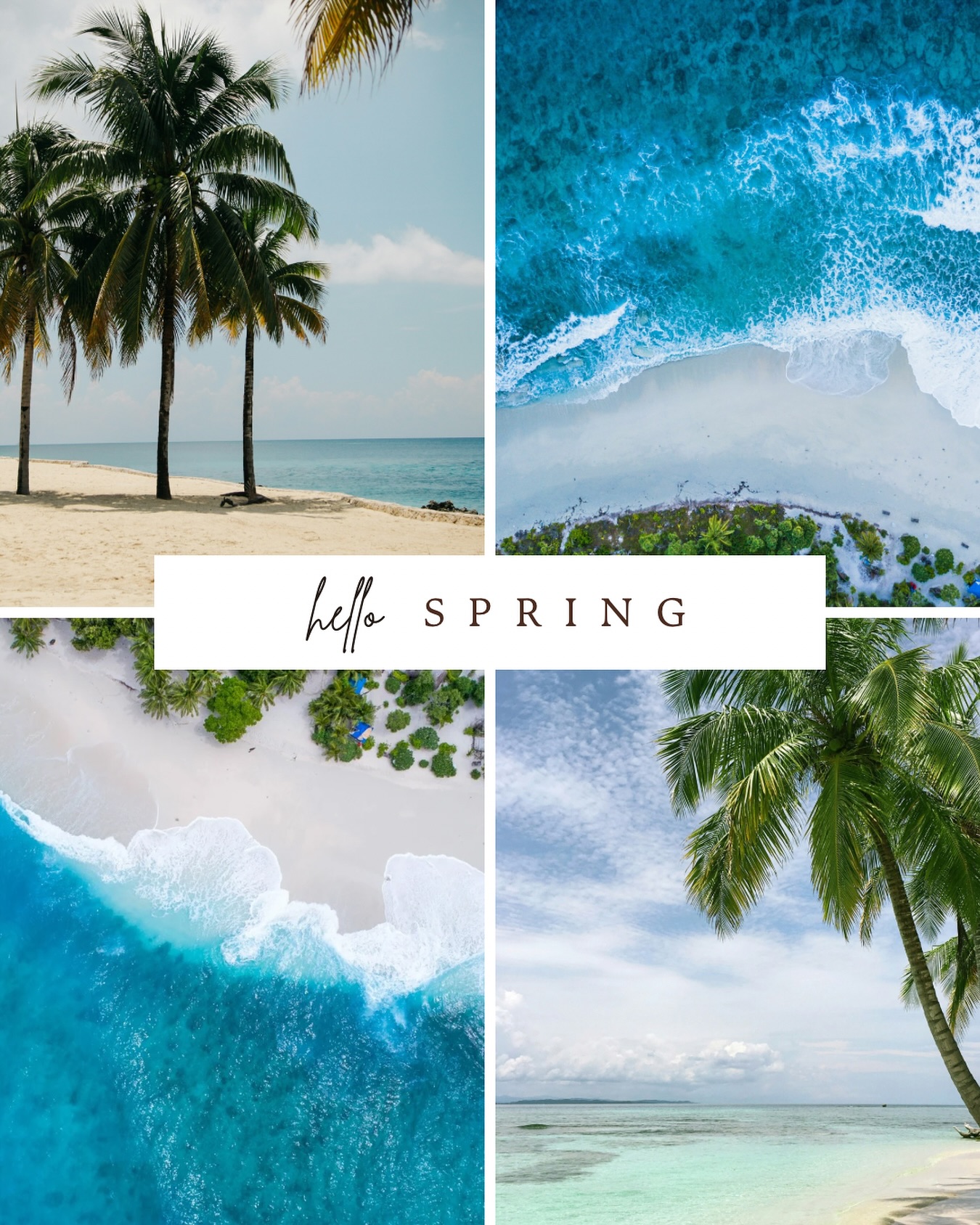 🌸 Hello Spring! 🌸
Spring is the perfect time to explore new destinations as the weather warms up and nature blooms! Here are some spring getaway ideas to kickstart your travel dreams:
1. Tulip Fields in the Netherlands – A picture-perfect destination to see the vibrant tulip fields in full bloom. It’s a must-see in April! 🌷🌍
2. Kyoto, Japan – Experience the breathtaking cherry blossoms at their peak, alongside traditional temples and peaceful gardens. 🌸🏯
3. Santorini, Greece – Stunning cliffside views, crystal-clear waters, and delicious Mediterranean food—perfect for a spring escape. 🌊🍴
4. Washington D.C., USA – Visit the National Cherry Blossom Festival and soak in the rich history and culture of the nation’s capital. 🇺🇸🌸
5. Marrakech, Morocco – Explore the vibrant souks, beautiful palaces, and spice markets as temperatures are more comfortable this time of year. 🕌🌞
Spring is all about new beginnings, and whether you’re looking for relaxation or adventure, these destinations are ideal for making unforgettable memories.
Ready to book your next spring getaway? DM us and we’ll help you plan your dream vacation
Or, why not earn commission by turning your love for travel into a business this spring? 🌍💼
#HelloSpring #SpringGetaways #DestinationIdeas #TravelInspiration #TravelBusiness #SpringTravel #TravelMore