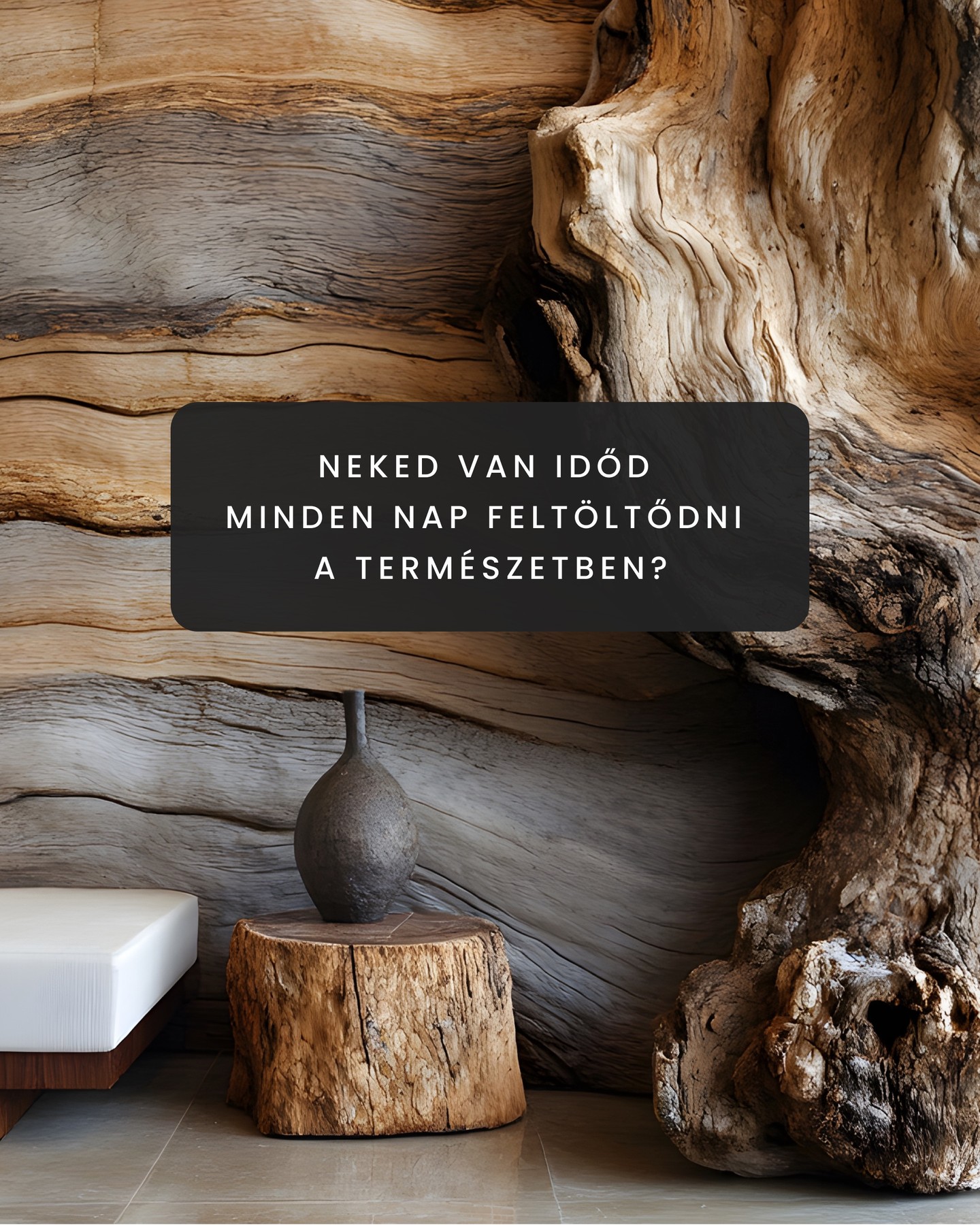 Neked van időd minden nap feltöltődni a természetben? Ha a válasz nem, akkor érdemes átértékelned az élettered.
Egy intelligensen gondolkodó ember felismeri, hogy a természet közelsége nem luxus, hanem szükséglet. A fa, a természetes fény, az organikus terek mind láthatatlan módon formálják a gondolkodásunkat, a közérzetünket és a kreativitásunkat. Nem véletlen, hogy az erdőben sétálva kiszellőzik a fejünk, hogy a természetben töltött idő csökkenti a stresszt, és hogy a fából épített terekben egyszerűen jobban érezzük magunkat.
A fa él, lélegzik, történetet mesél – és nemcsak a múlté, hanem a jövő anyaga is. A CLT (keresztirányú rétegelt fa) nem csupán az építészet egyik legmodernebb innovációja, hanem egy szemlélet is: természetközelibb, egészségesebb terekben élni, dolgozni, alkotni.
Egy jól megtervezett tér nemcsak falakból áll, hanem hatással van ránk, formálja a gondolkodásunkat. Nem mindegy, hogy egy rideg betonfal vesz körül, vagy egy olyan anyag, amelynek története van, amely a természet része marad, és amely pozitív hatással van a mindennapjainkra.
Te is észrevetted már, hogy egy faanyagú térben egyszerűen jobban érzed magad?
---
#fertexbau #construction #clthome #generálkivitelezés #generalconstruction #home #otthon #felujítás #építkezés #architecture #house #luxury #luxurybuilding #building #környezetbarát #fenntarthatóság