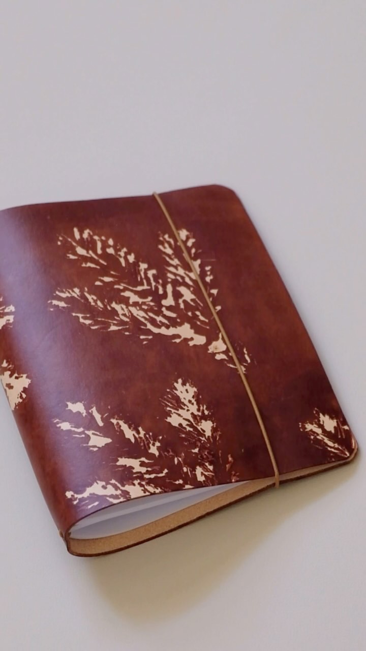 Tento vetvičkový zápisník už putuje do Nemecka :)
#prirodnyzapisnik #lesnymotiv #remeselneprodukty #prirodnymaterial #midorizapisnik #kozenyzapisnik #zapisniksgumickou #vetvicky #rucnerobeny