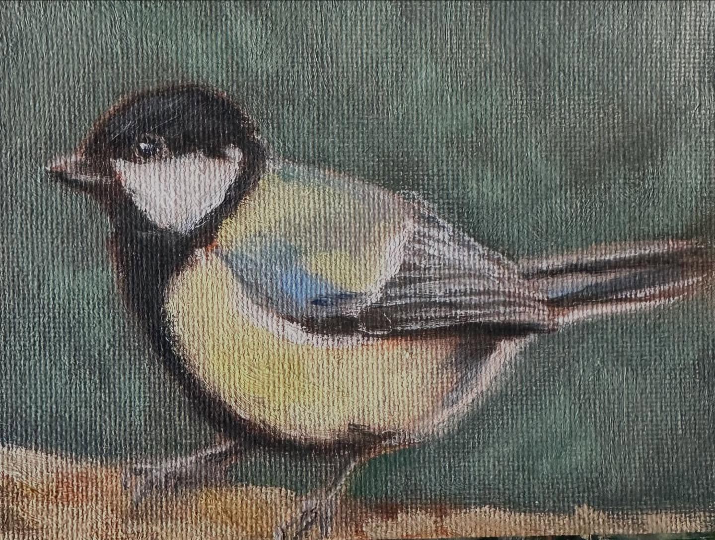 Our garden is full of Blue Tits these days! Flying back and forth building their nests. This cutie will be available at the Art Fair in Ulvenhout on Sunday April 6th.
Blue Tit - oil on canvas panel - 9x12 cm
#bluetit #oilpainting #oiloncanvaspanel #artfair #paintingbirds #birdlover #oilpaintings #ulvenhout #ulvenhoutuitdekunst #birdpainting